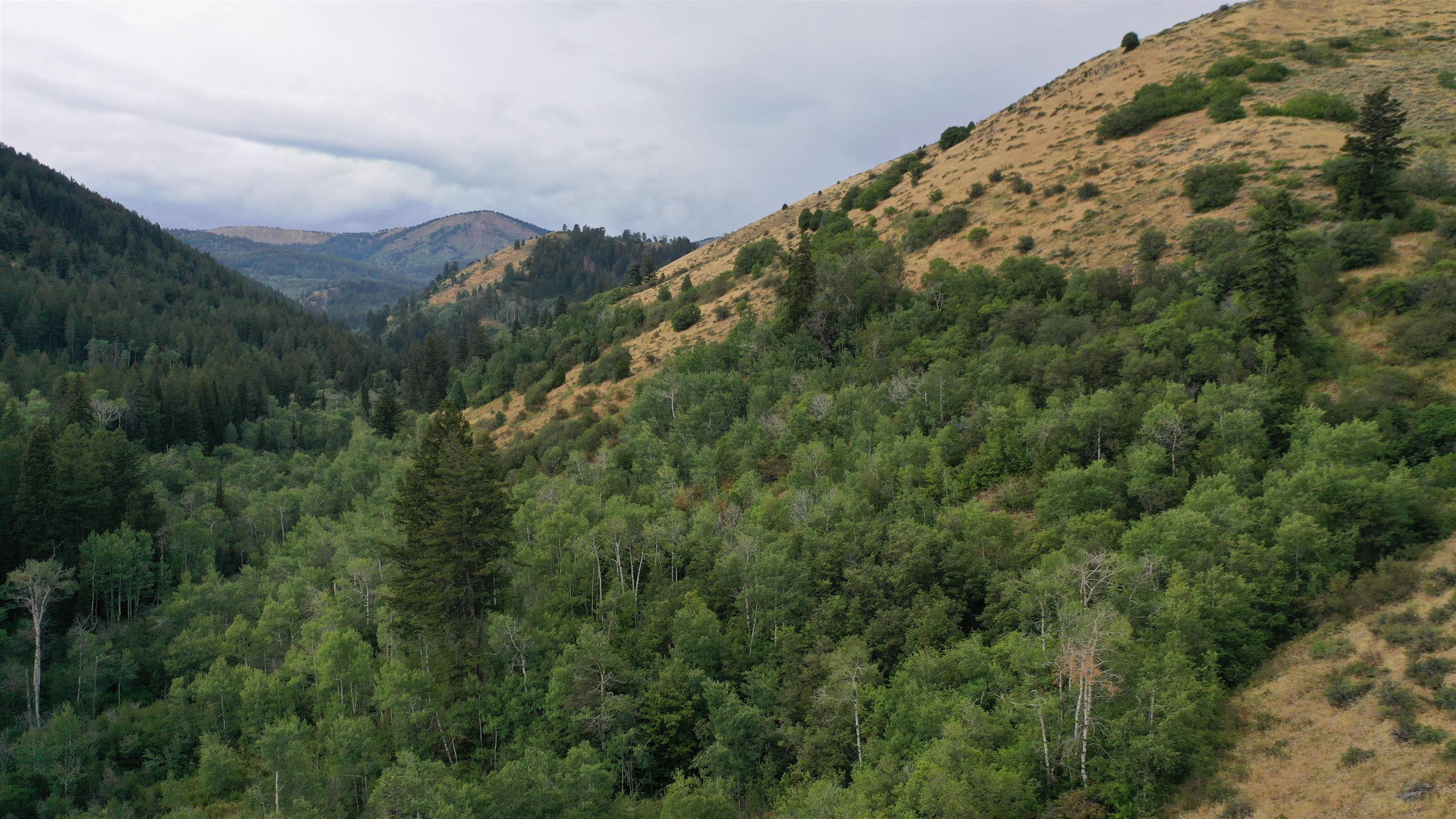 001 Skinner Canyon Road, Montpelier, Idaho image 13