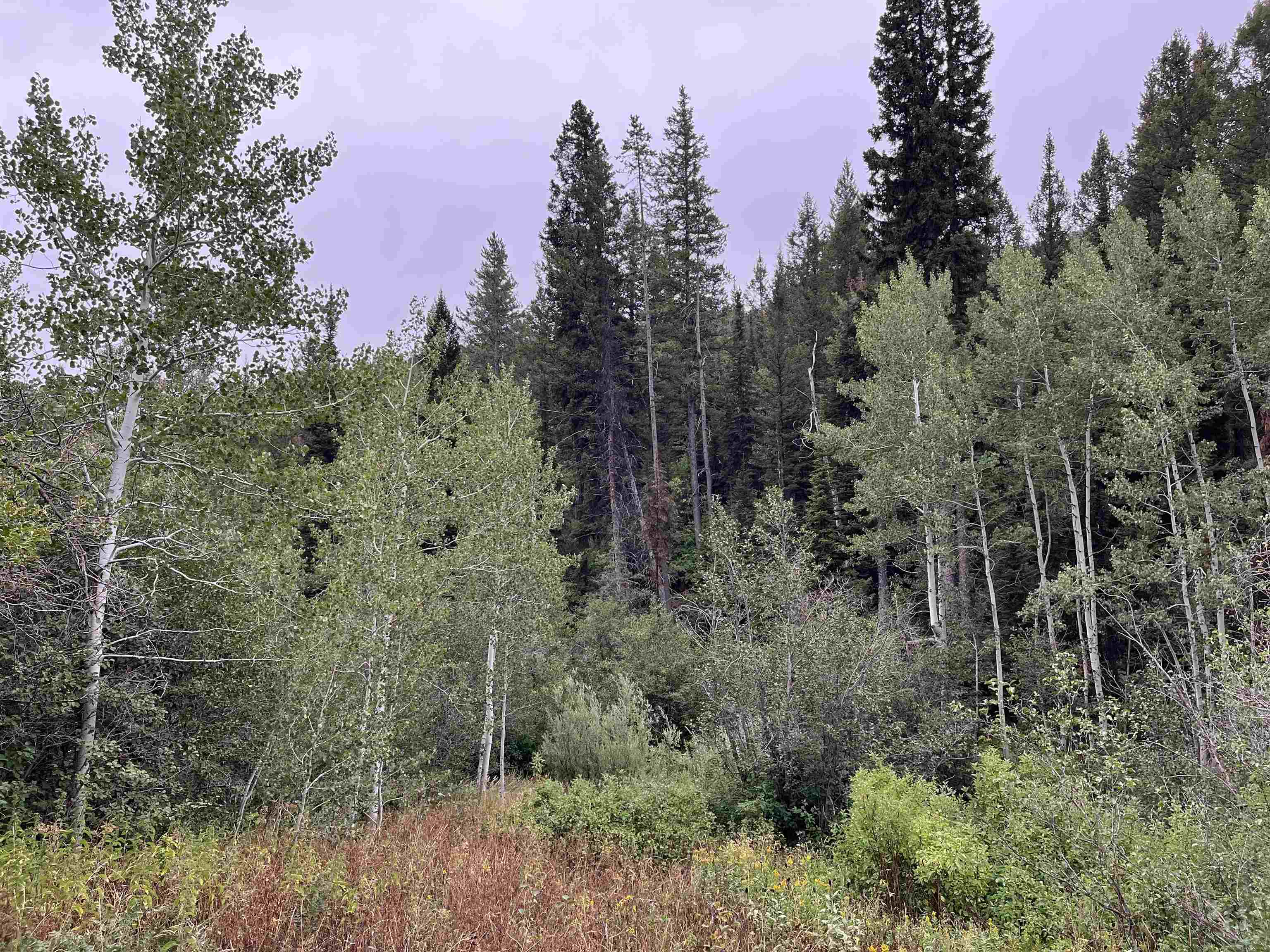 001 Skinner Canyon Road, Montpelier, Idaho image 6