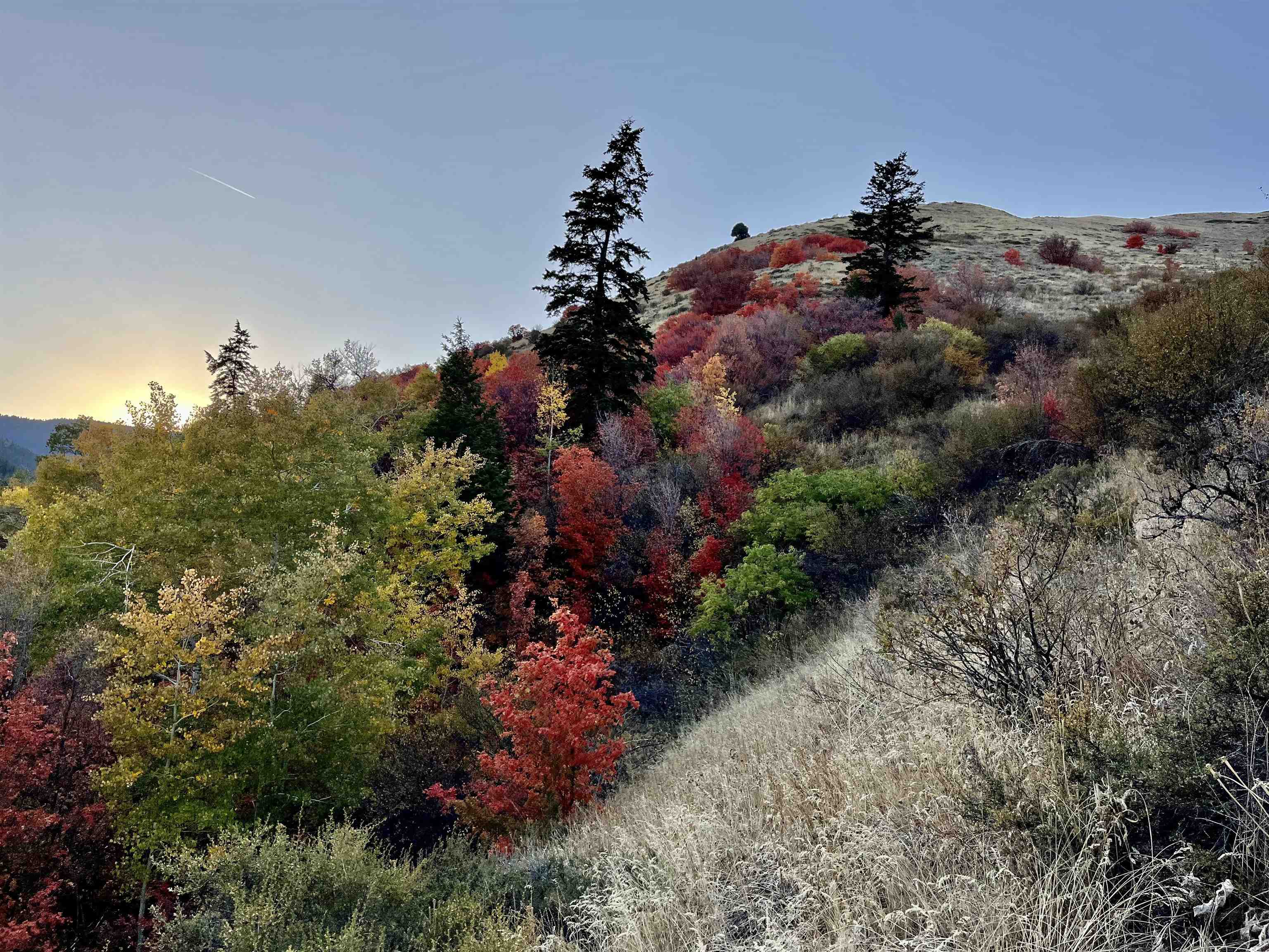 001 Skinner Canyon Road, Montpelier, Idaho image 10