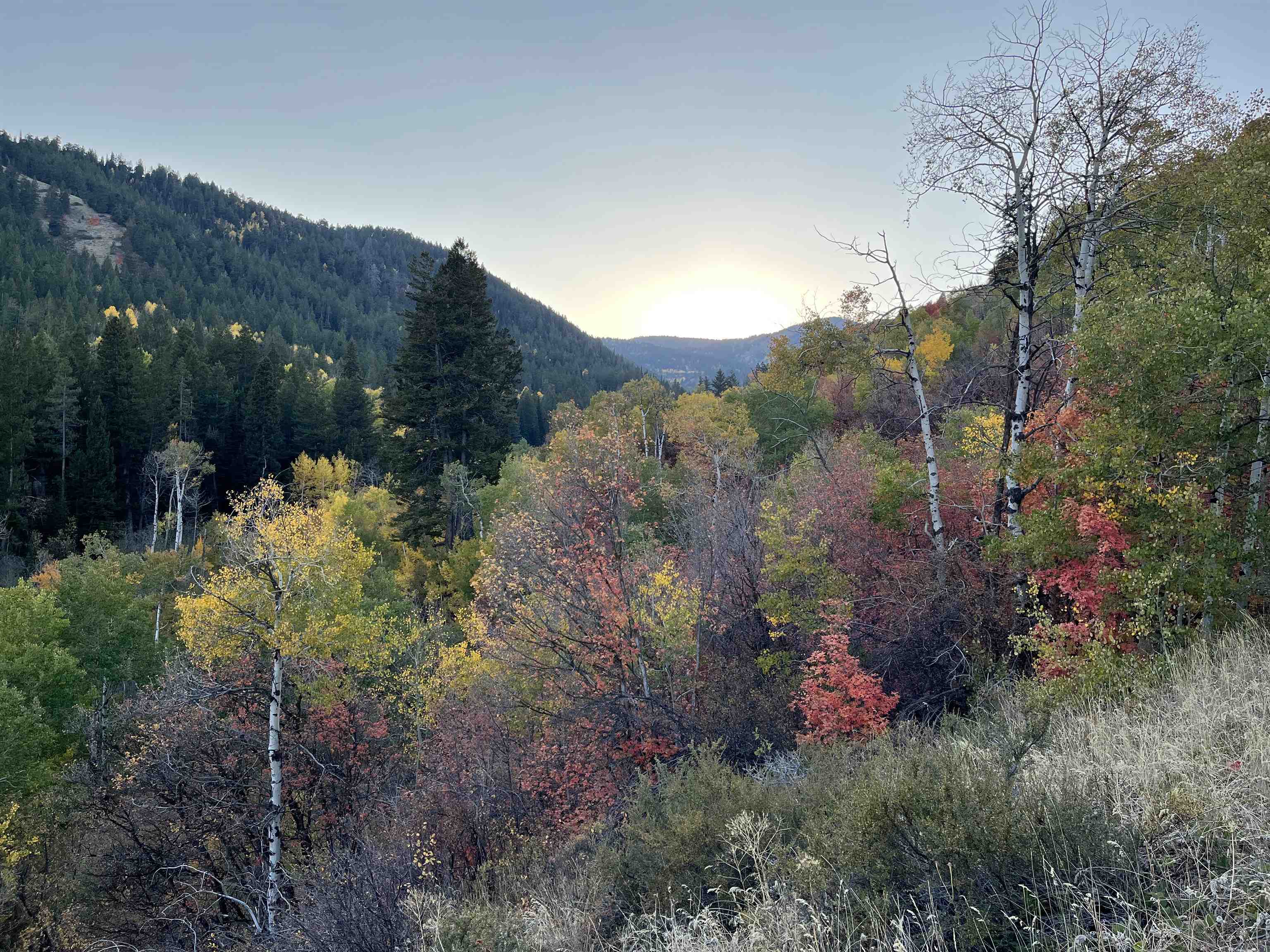 001 Skinner Canyon Road, Montpelier, Idaho image 9