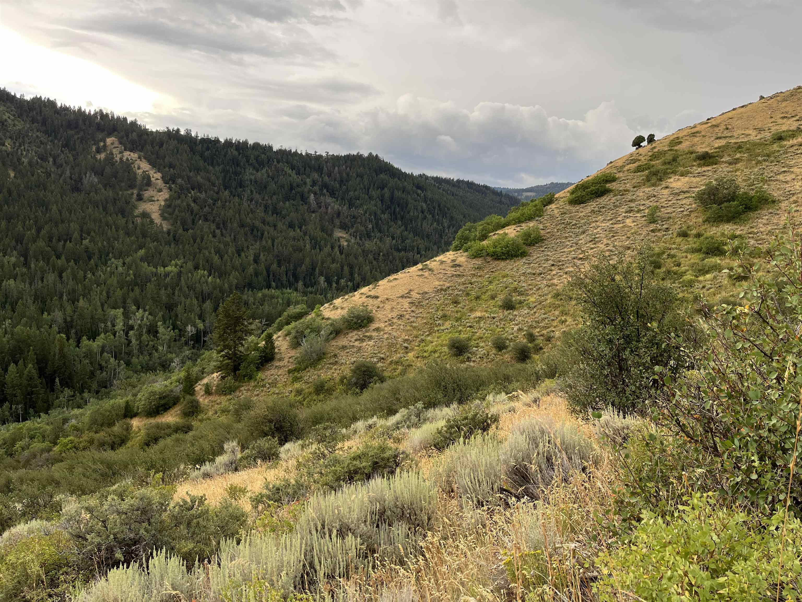 001 Skinner Canyon Road, Montpelier, Idaho image 20
