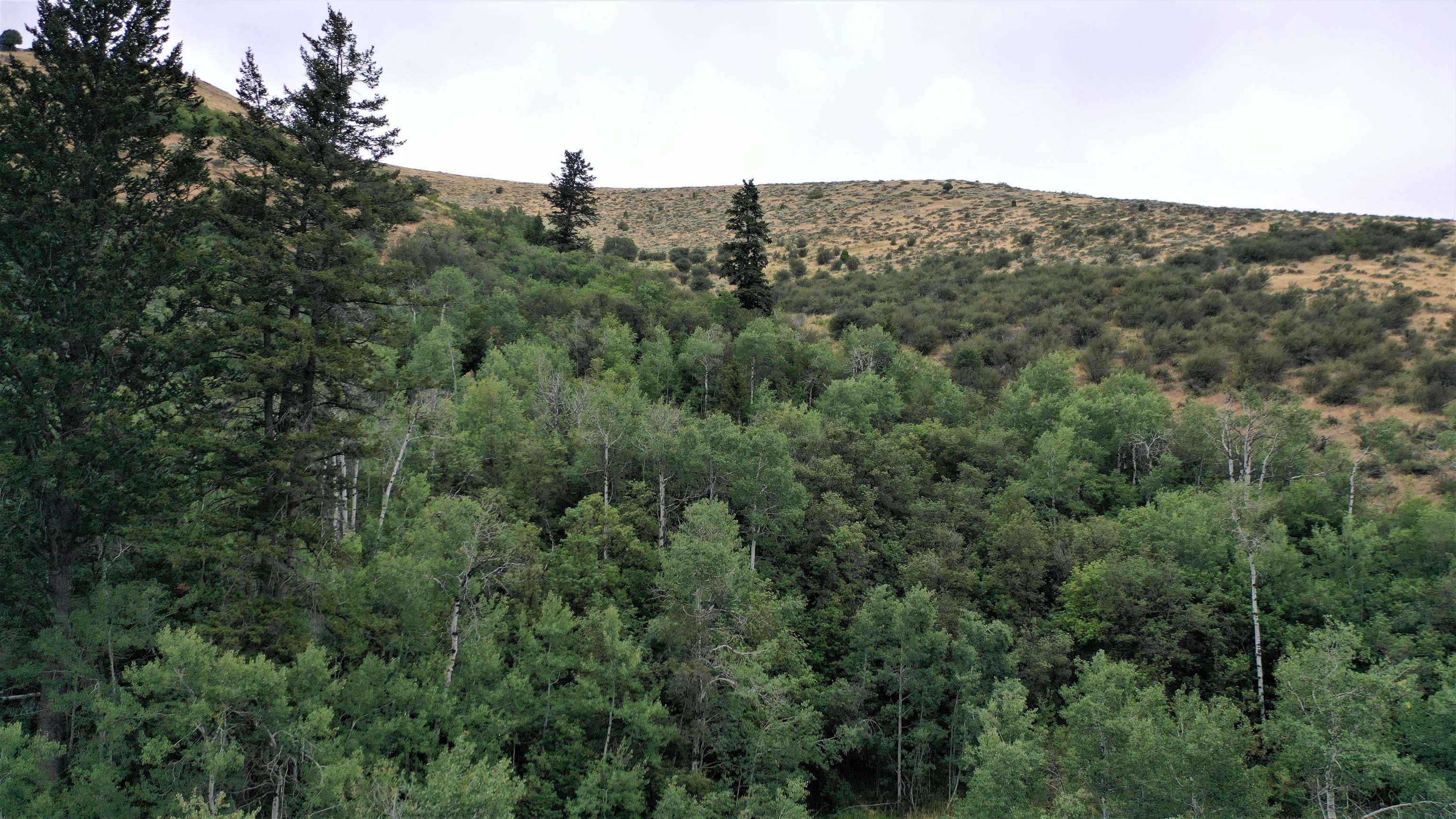 001 Skinner Canyon Road, Montpelier, Idaho image 27