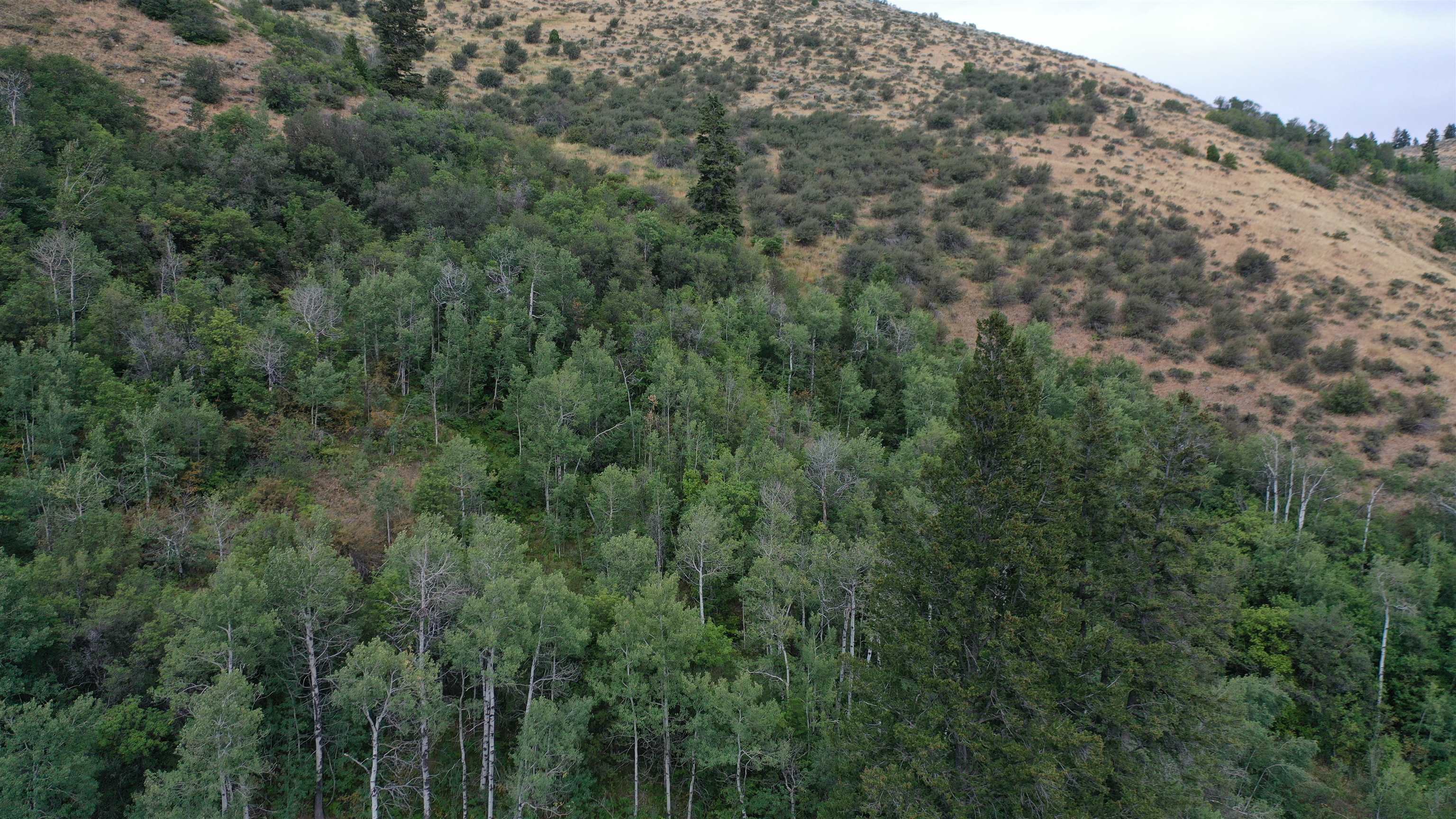 001 Skinner Canyon Road, Montpelier, Idaho image 31