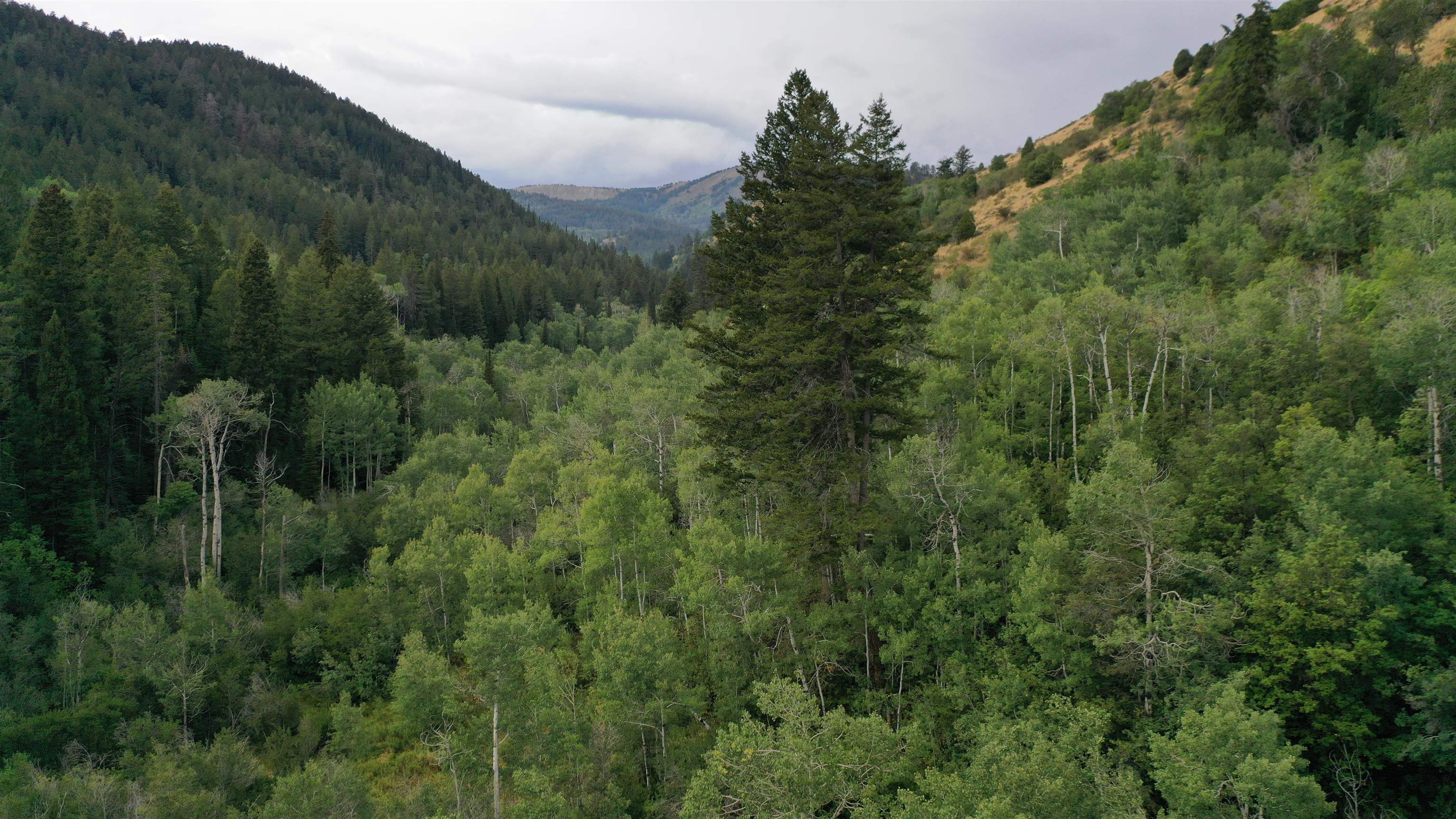 001 Skinner Canyon Road, Montpelier, Idaho image 28