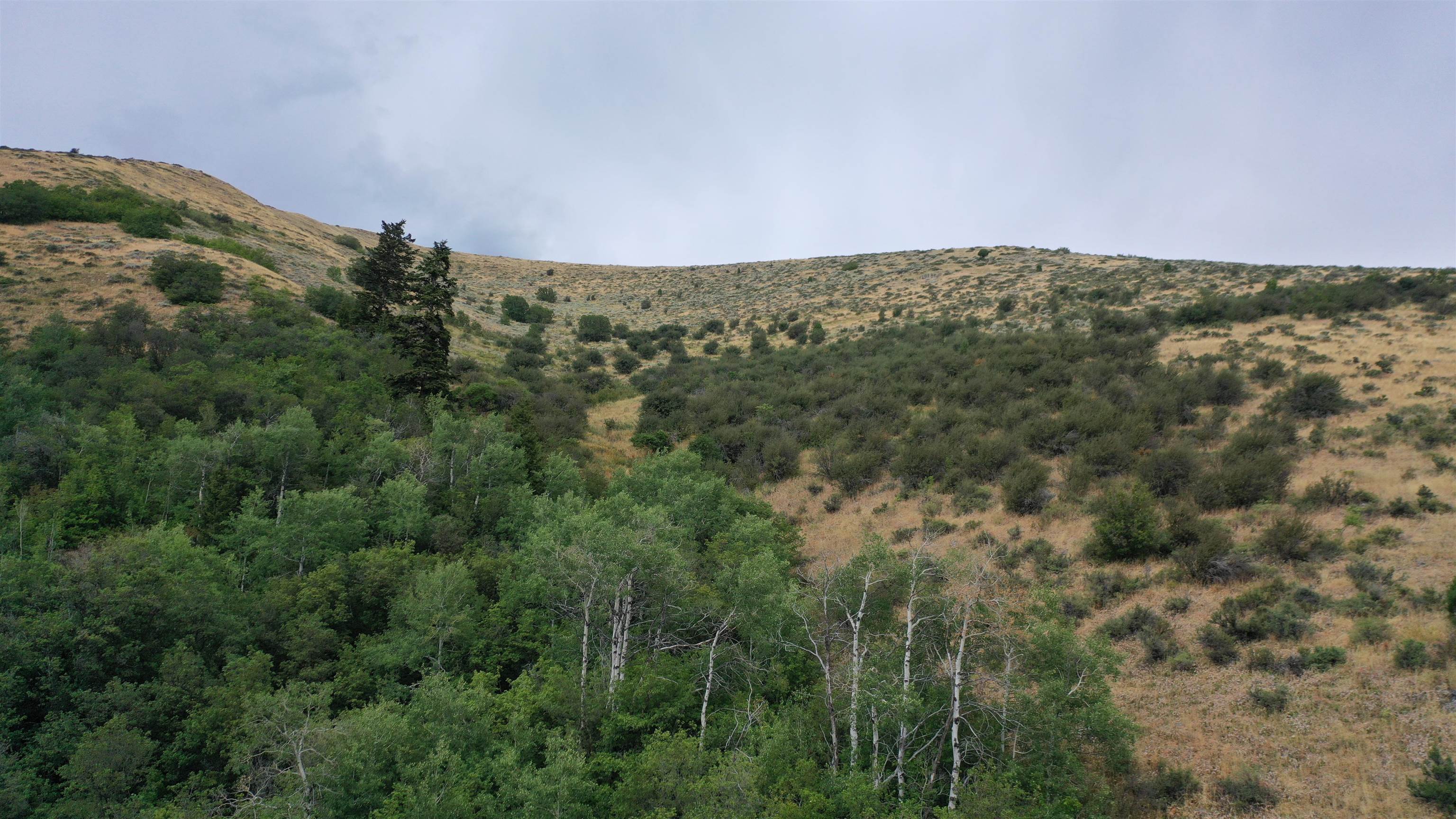 001 Skinner Canyon Road, Montpelier, Idaho image 15