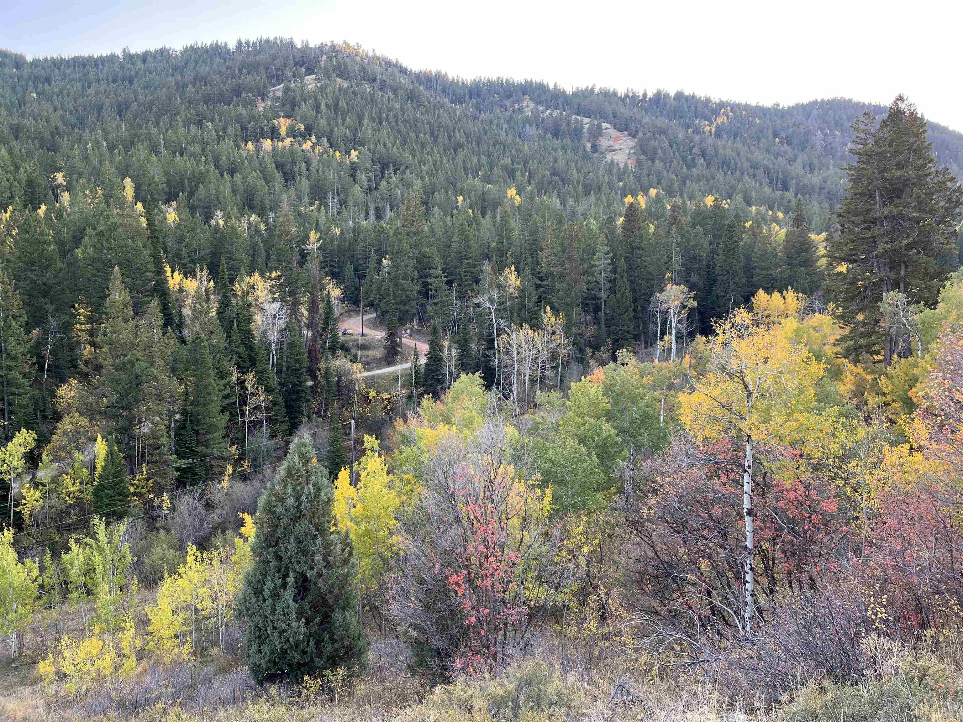 001 Skinner Canyon Road, Montpelier, Idaho image 8