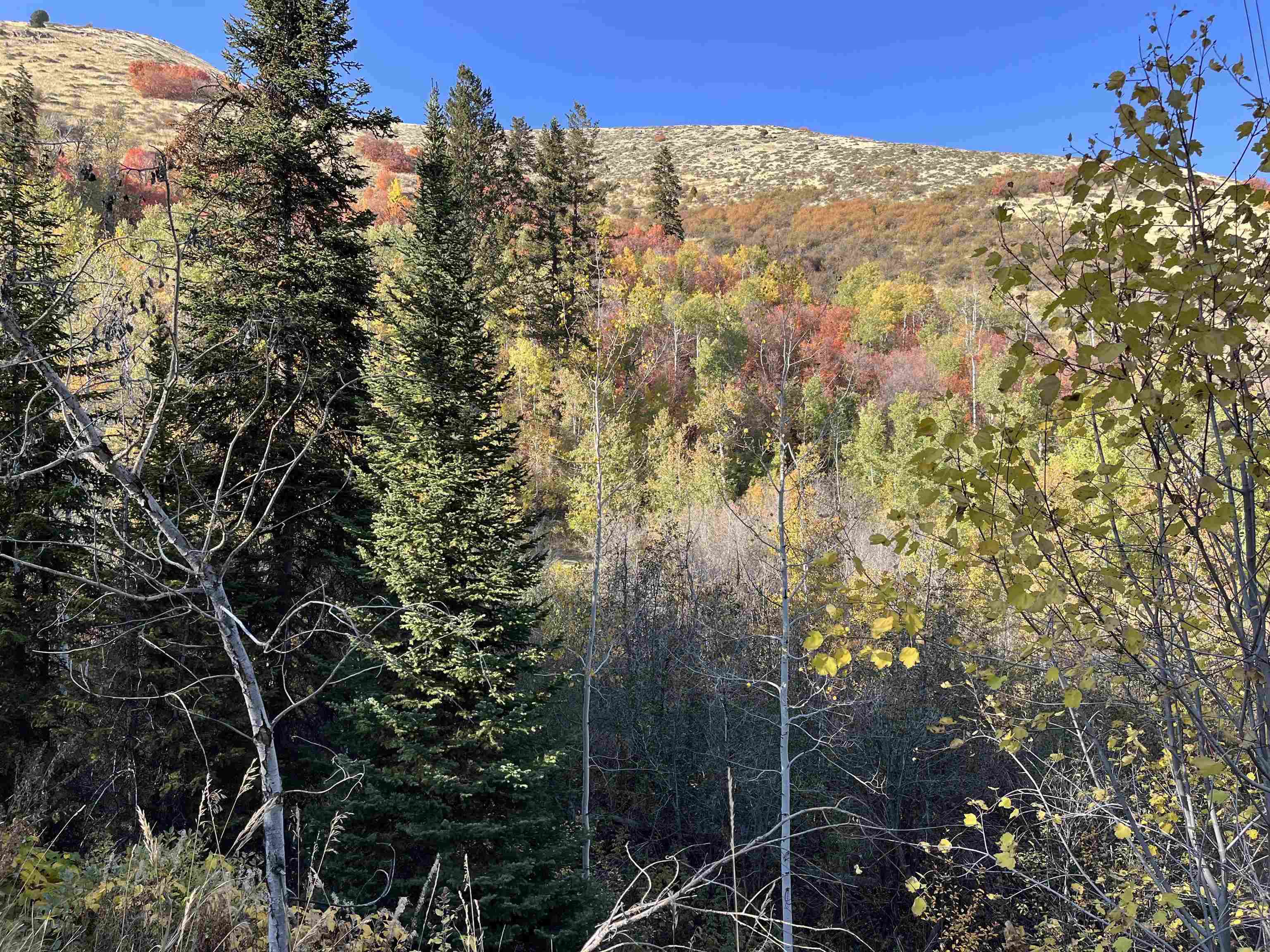 001 Skinner Canyon Road, Montpelier, Idaho image 7