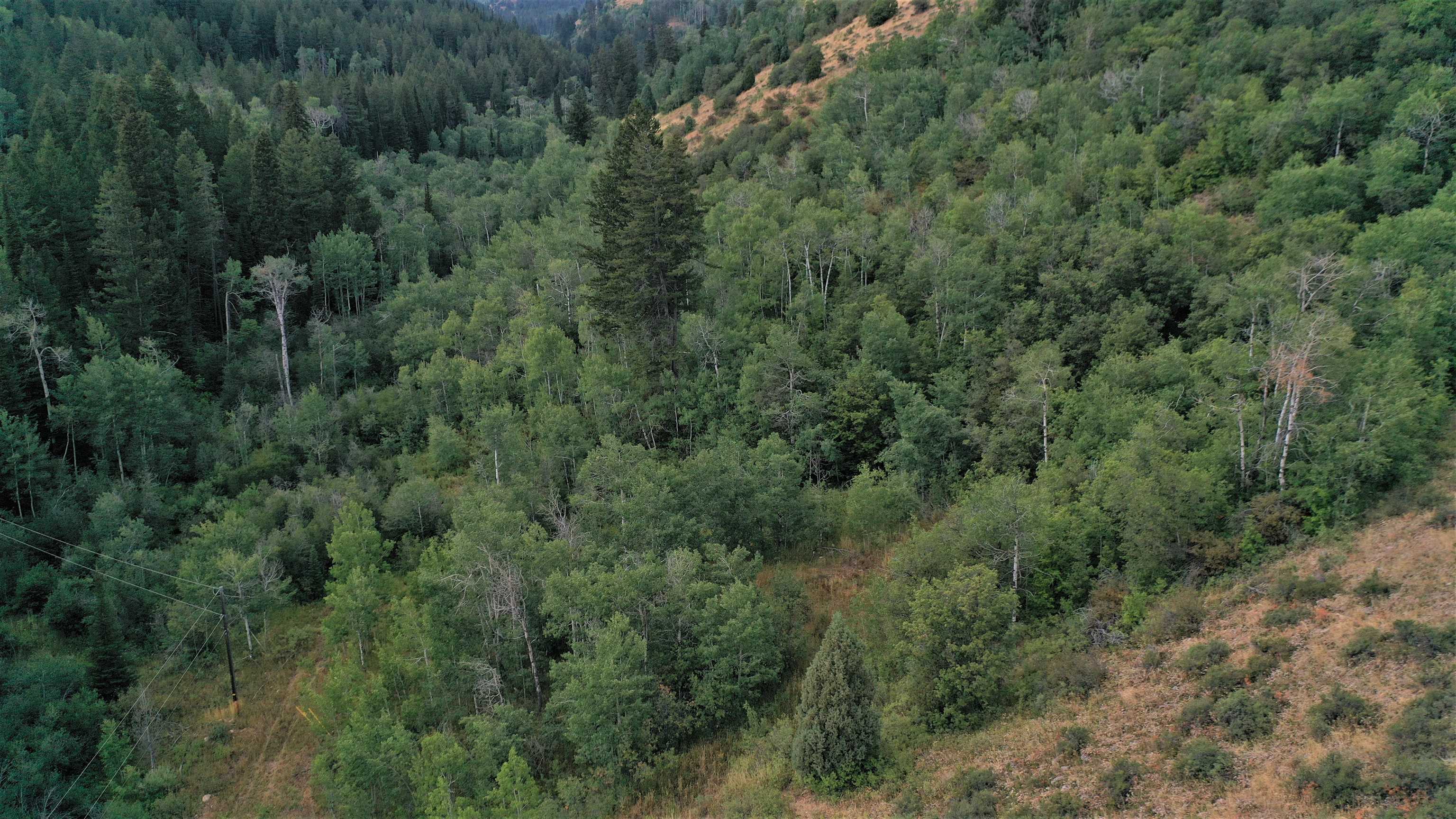 001 Skinner Canyon Road, Montpelier, Idaho image 29