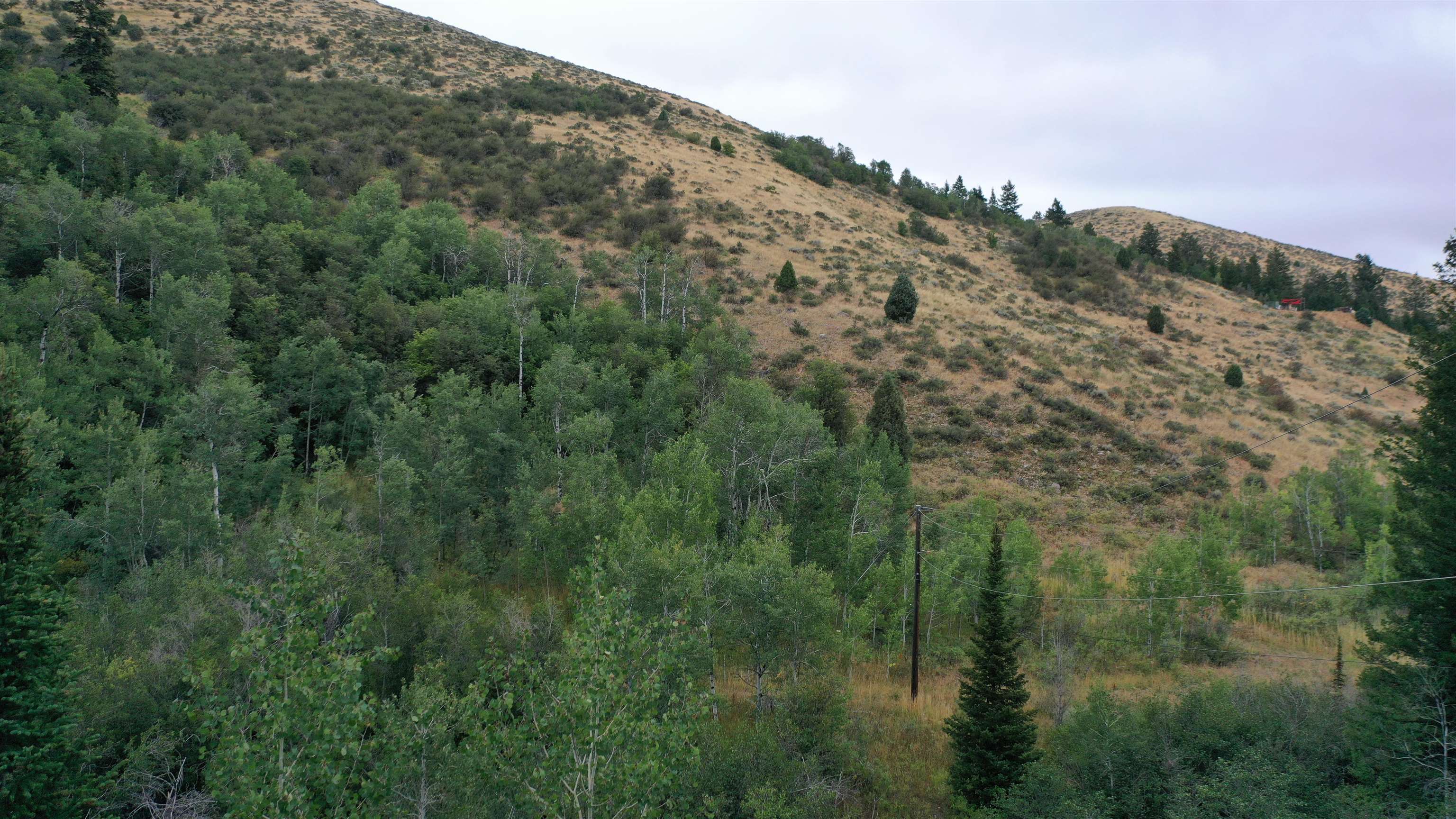 001 Skinner Canyon Road, Montpelier, Idaho image 32