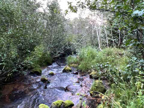 Vacant Land For Sale - 001 Skinner Canyon Road<br/> Montpelier, ID 83254