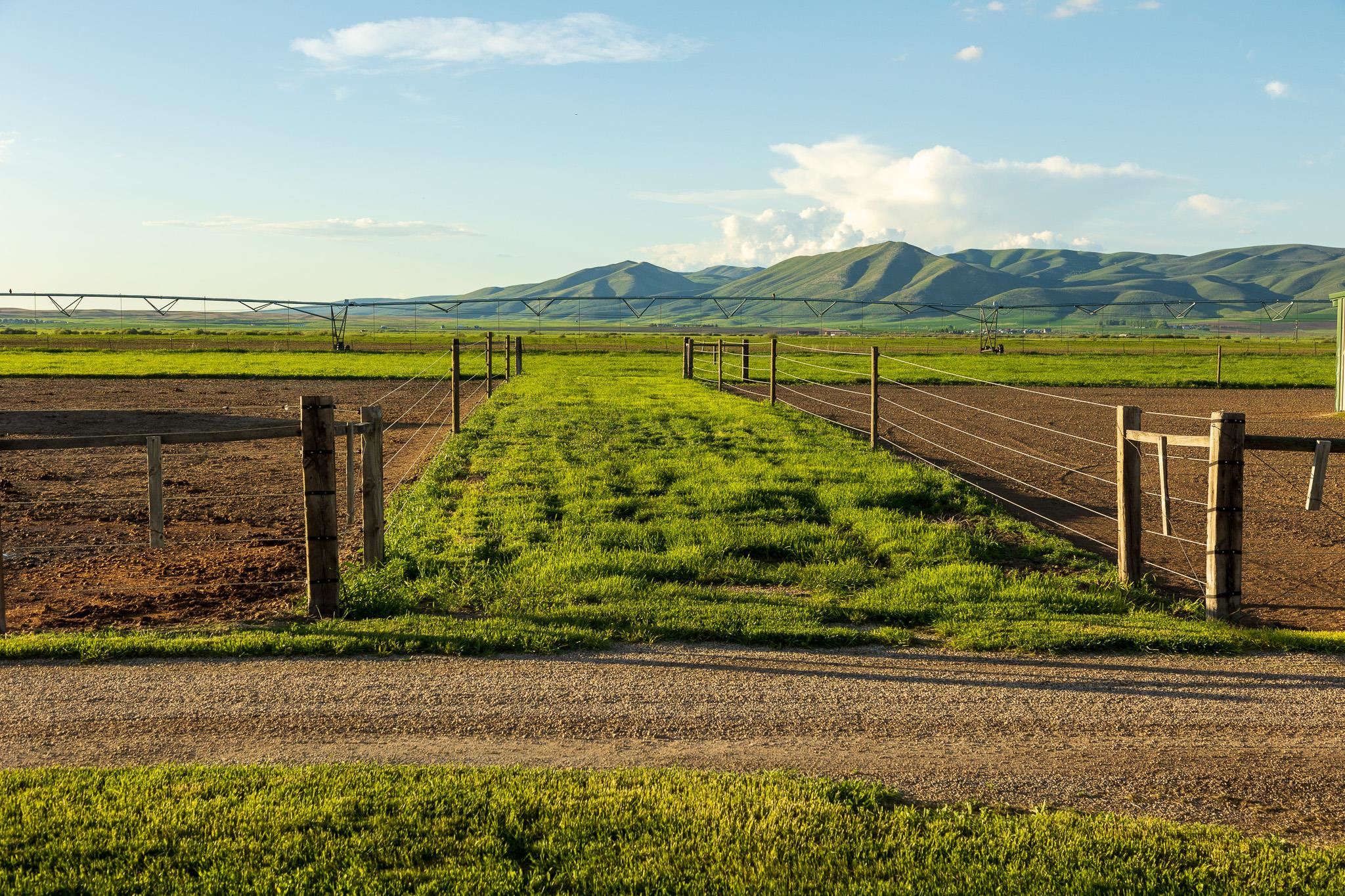 950 Miles Rd, Bancroft, Idaho image 17