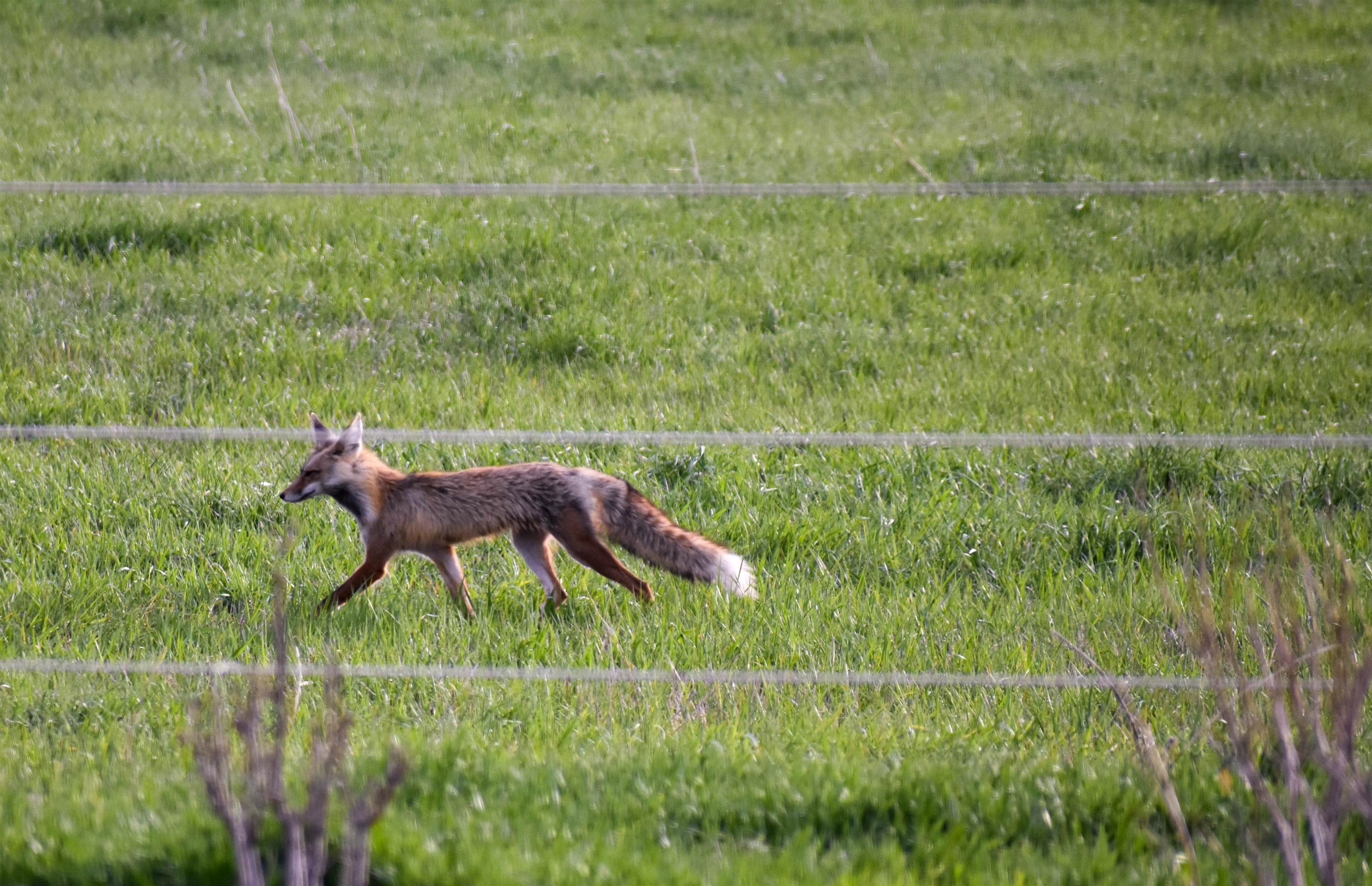 950 Miles Rd, Bancroft, Idaho image 40