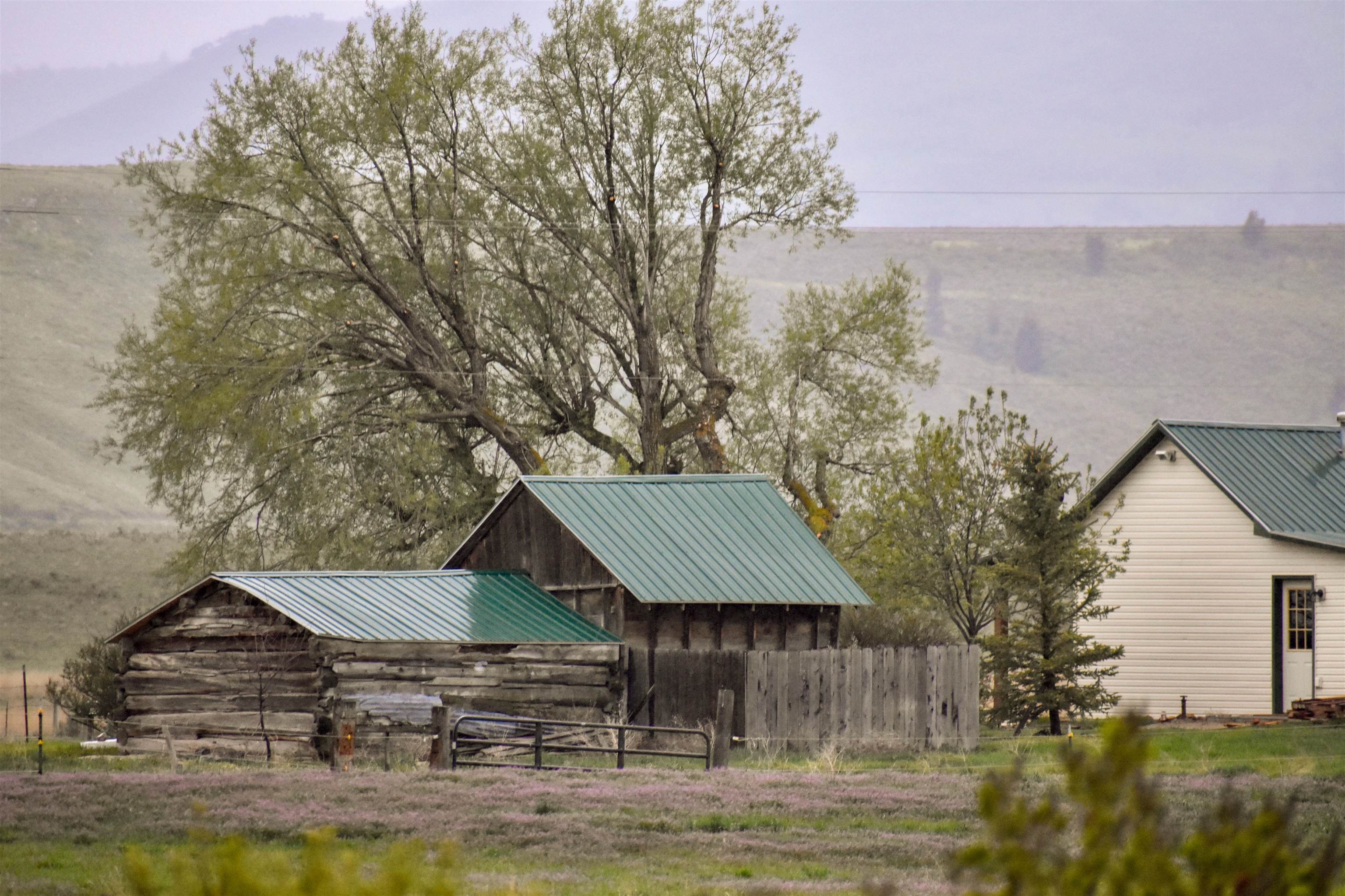 950 Miles Rd, Bancroft, Idaho image 11