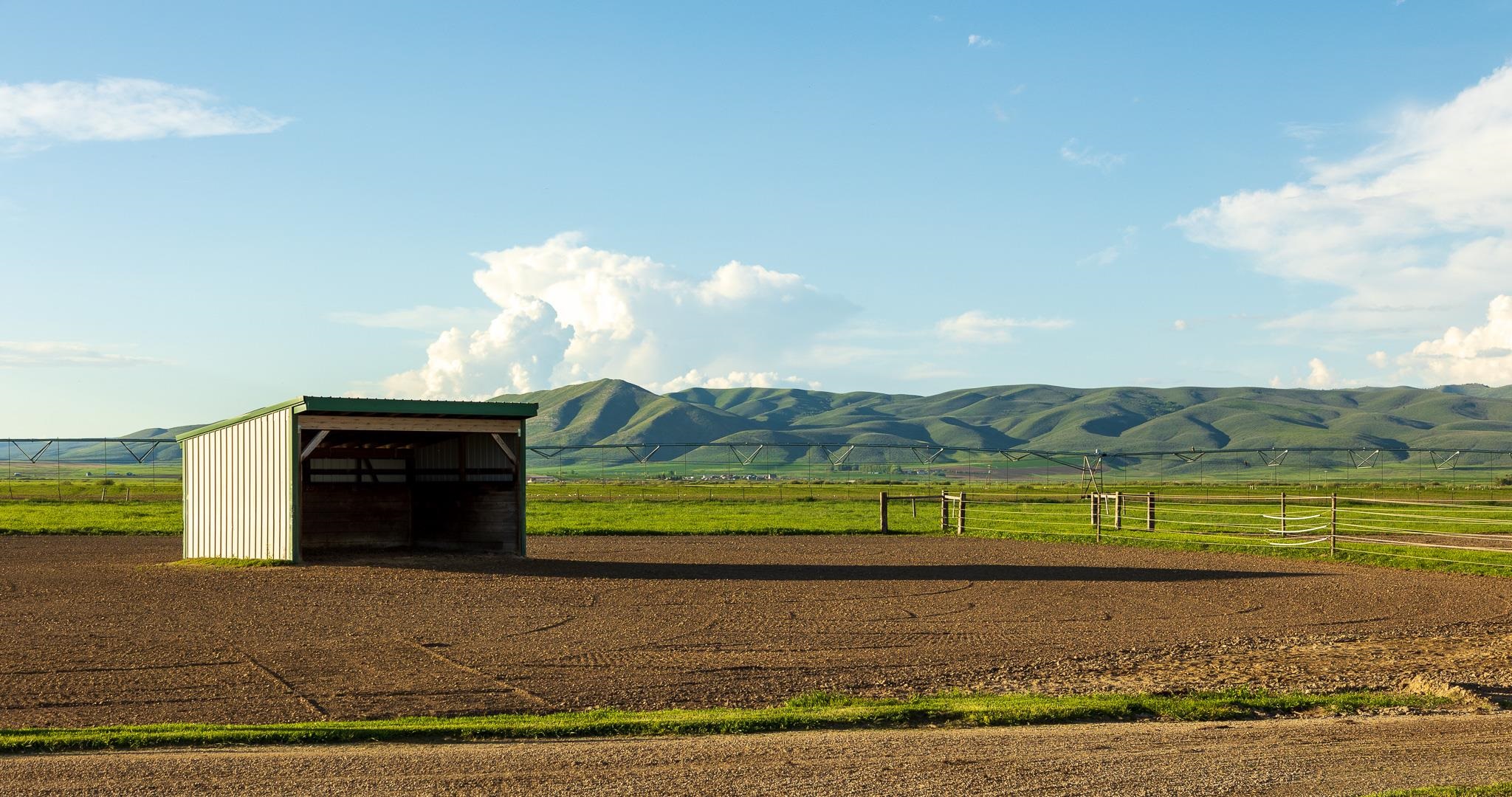 950 Miles Rd, Bancroft, Idaho image 15