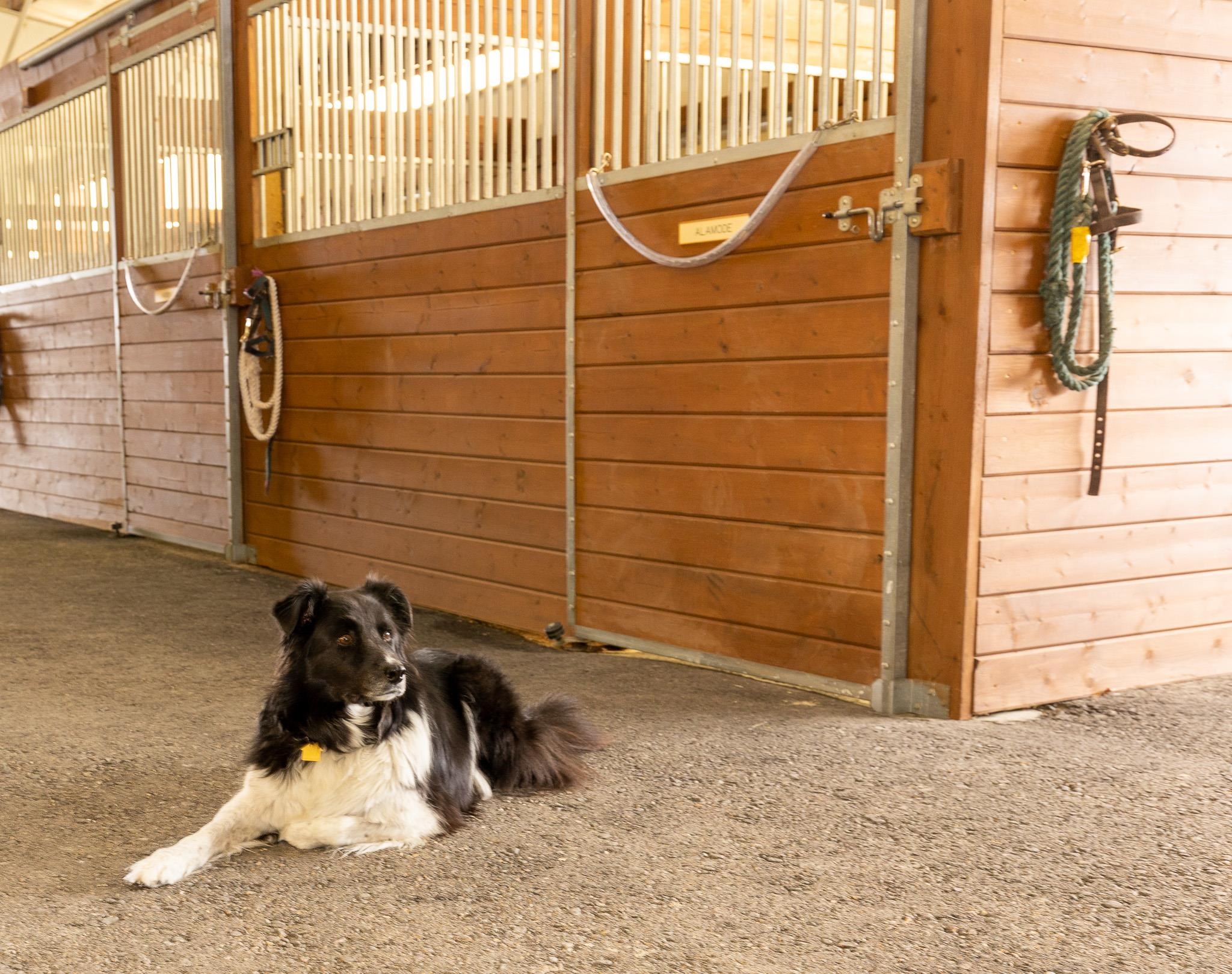 950 Miles Rd, Bancroft, Idaho image 35