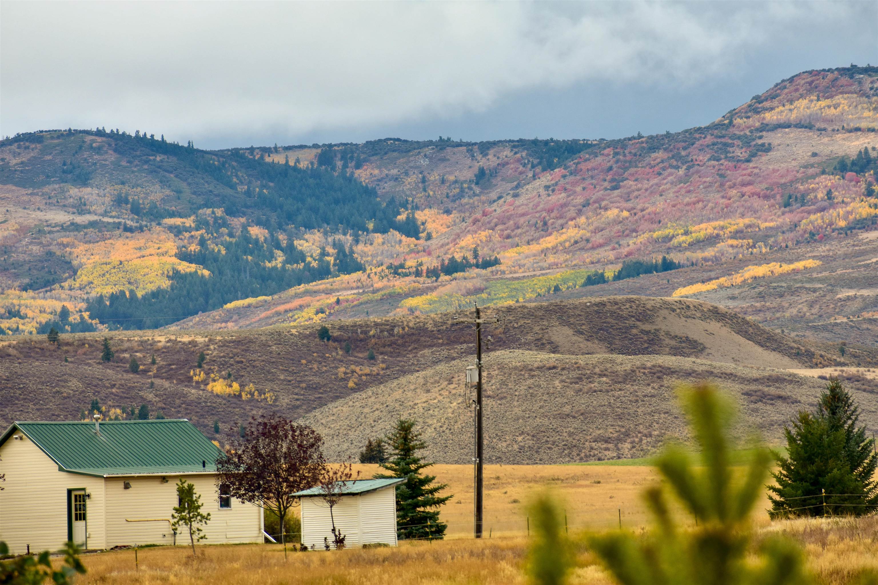 950 Miles Rd, Bancroft, Idaho image 39