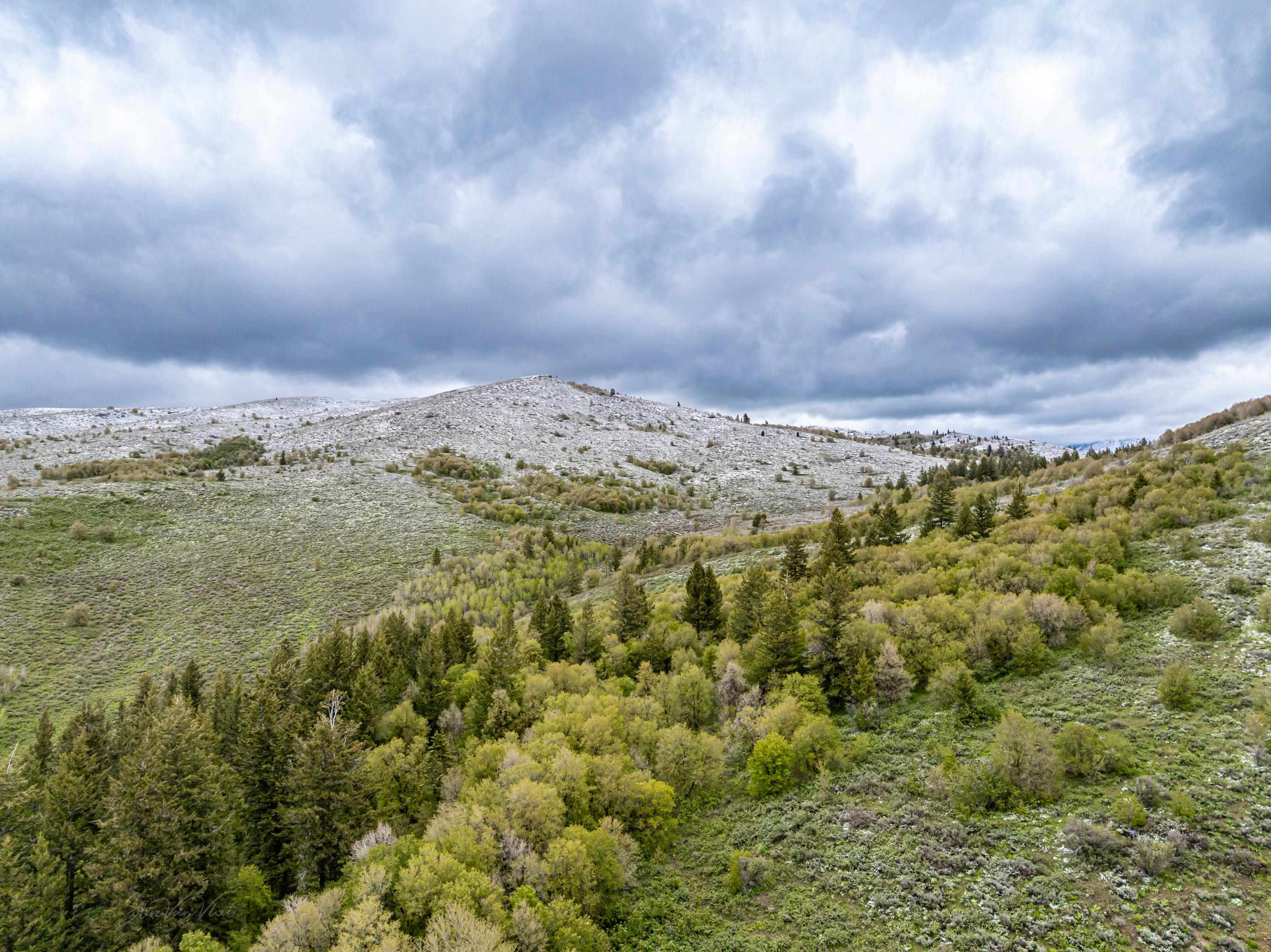 TBD NYD Buckskin Rd. (20 Ac), Pocatello, Idaho image 5