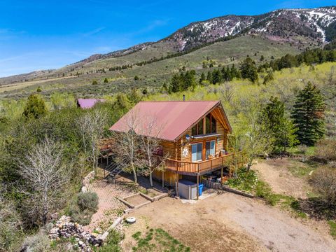 Homes For Sale - 2466 E Green Canyon<br/> Bannock County, Inkom, ID 83245