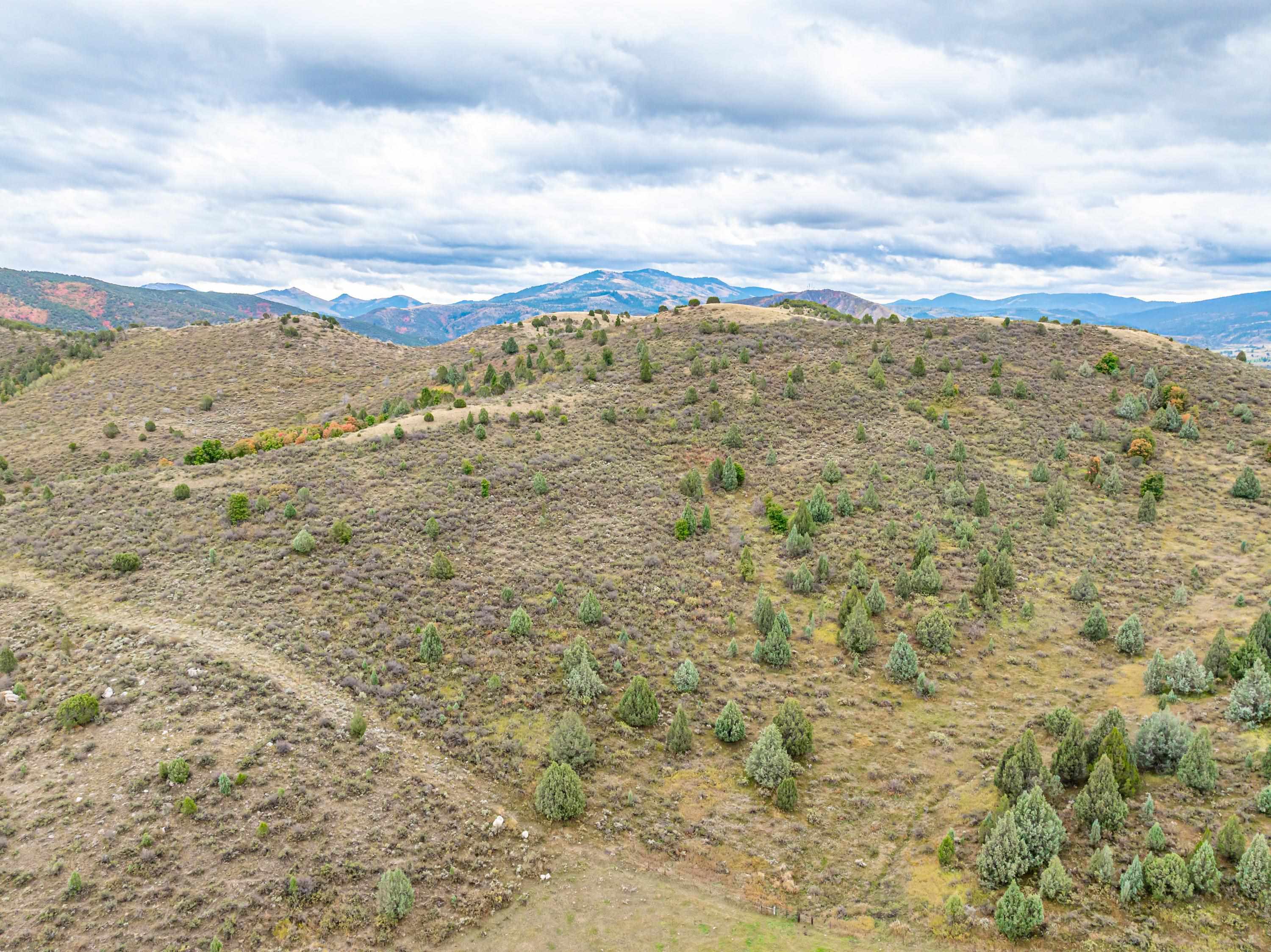 TBD S Pheasant, Lava Hot Springs, Idaho image 3