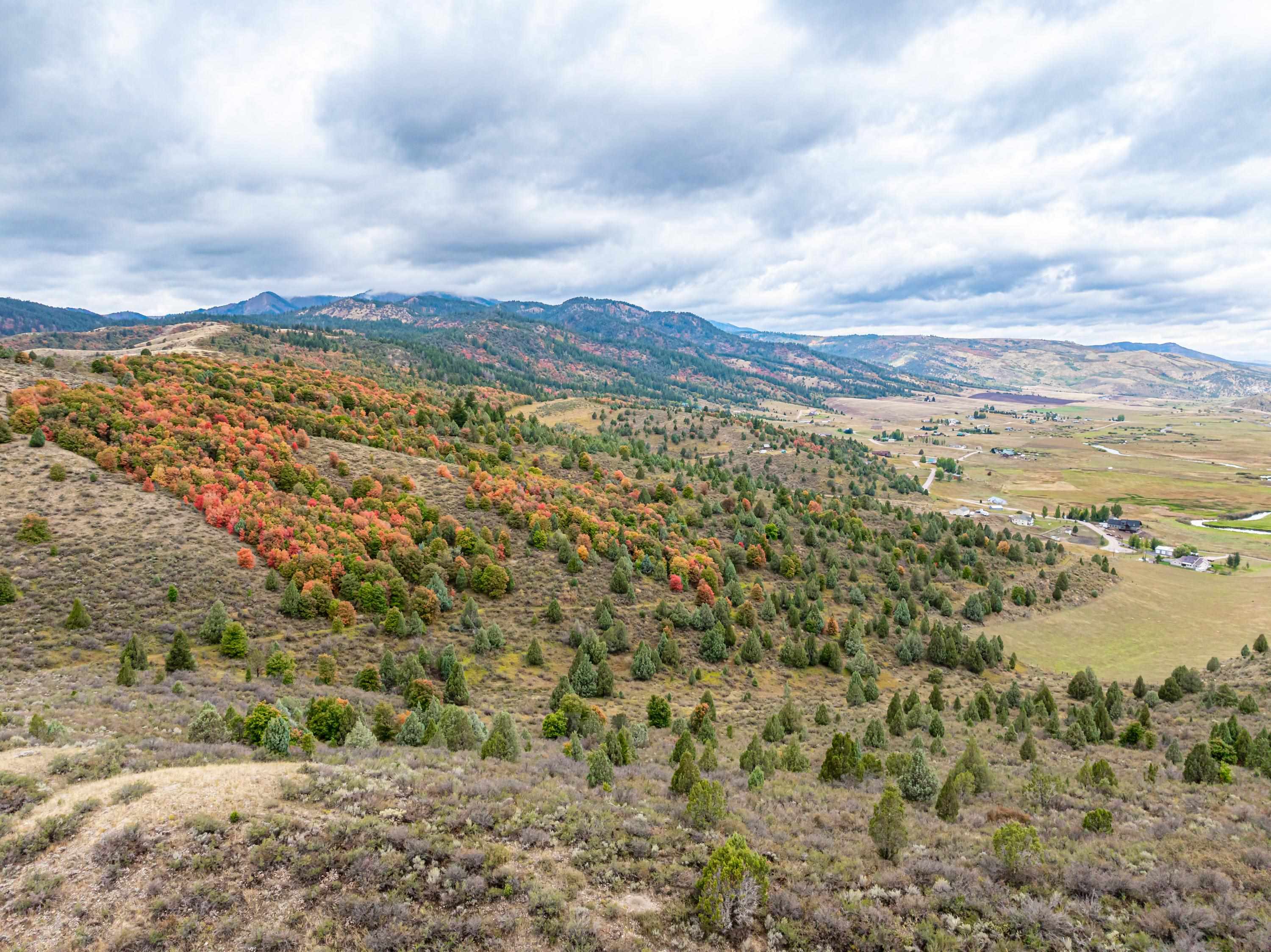 TBD S Pheasant, Lava Hot Springs, Idaho image 1