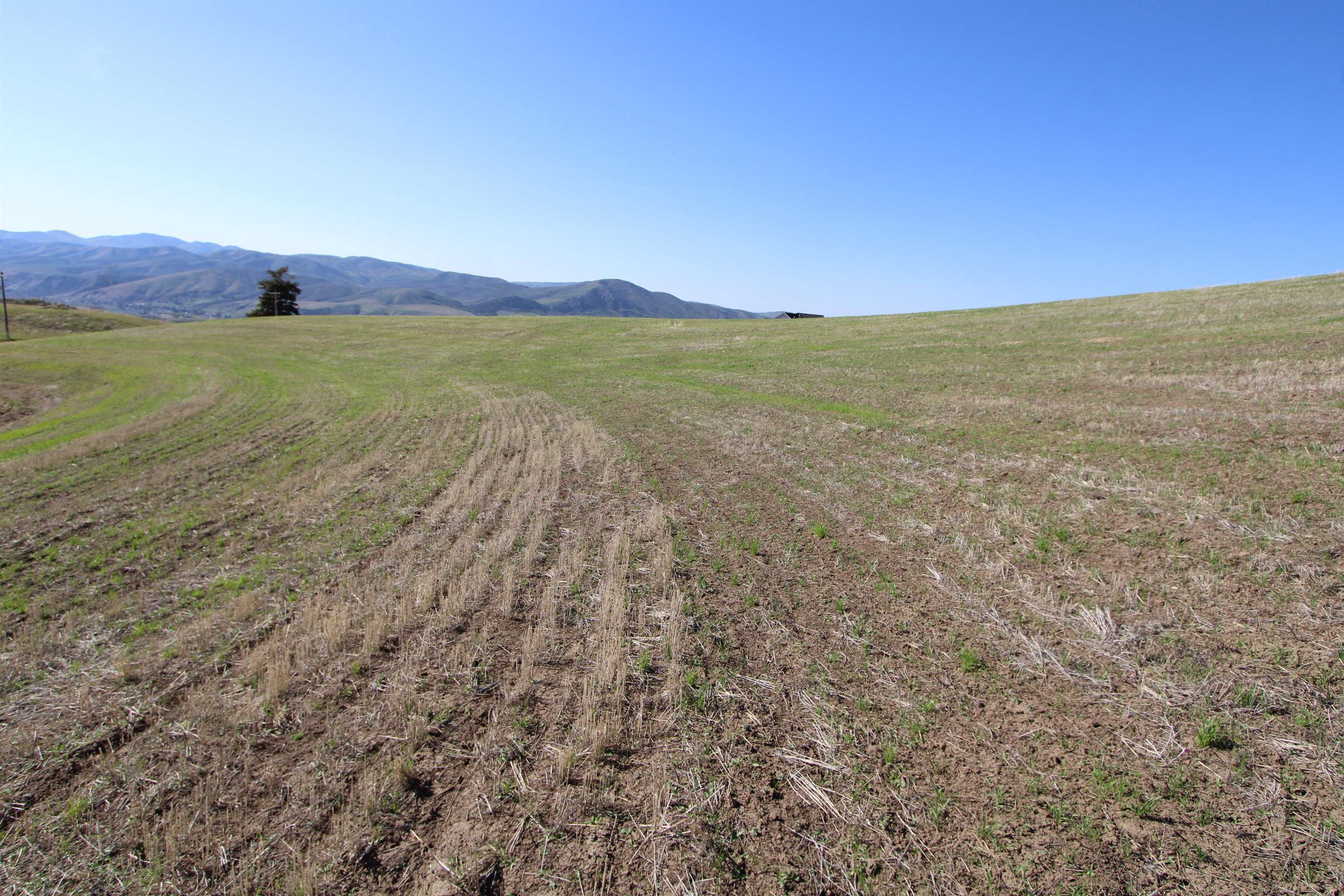000 Eagle Point, Inkom, Idaho image 21