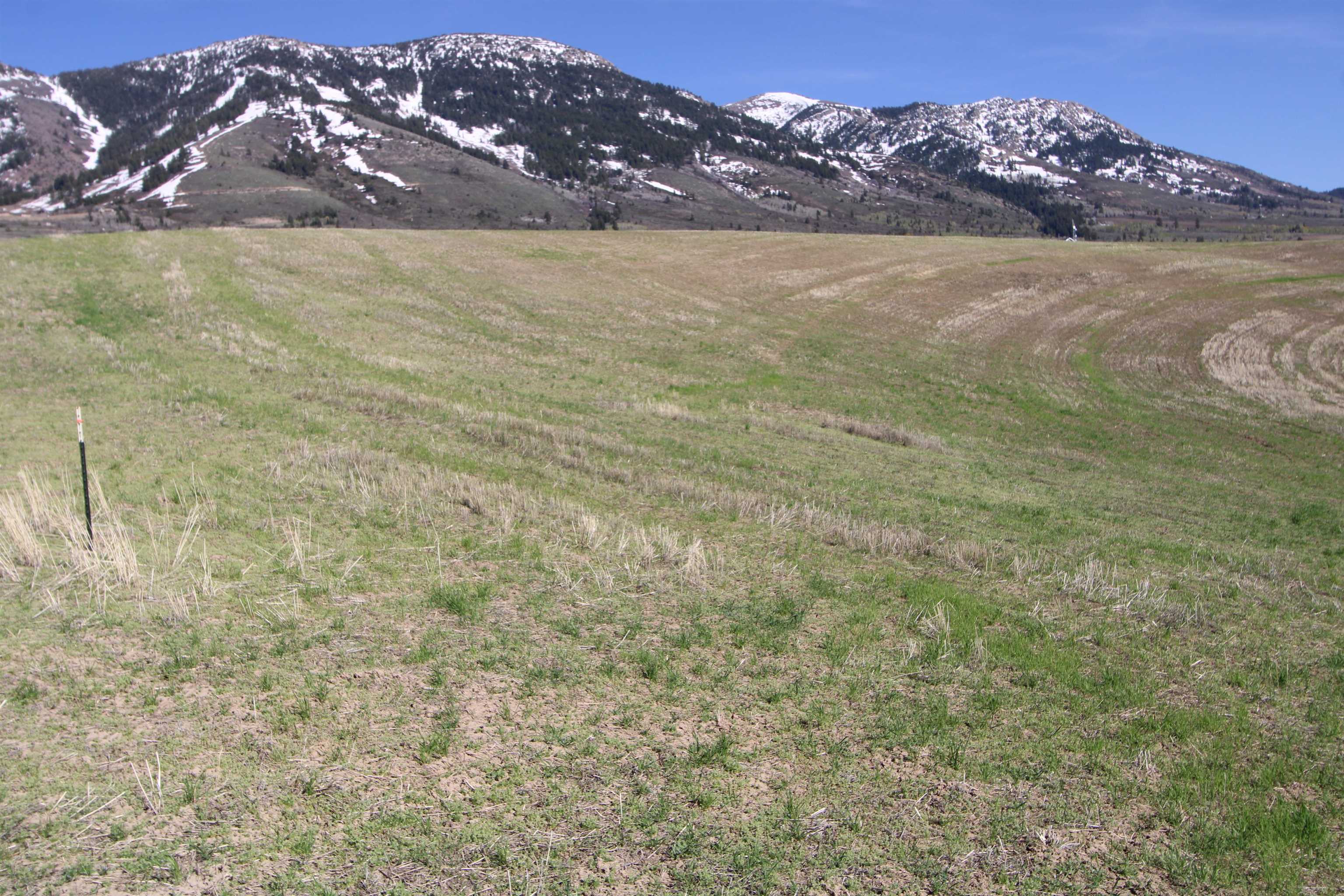 000 Eagle Point, Inkom, Idaho image 6