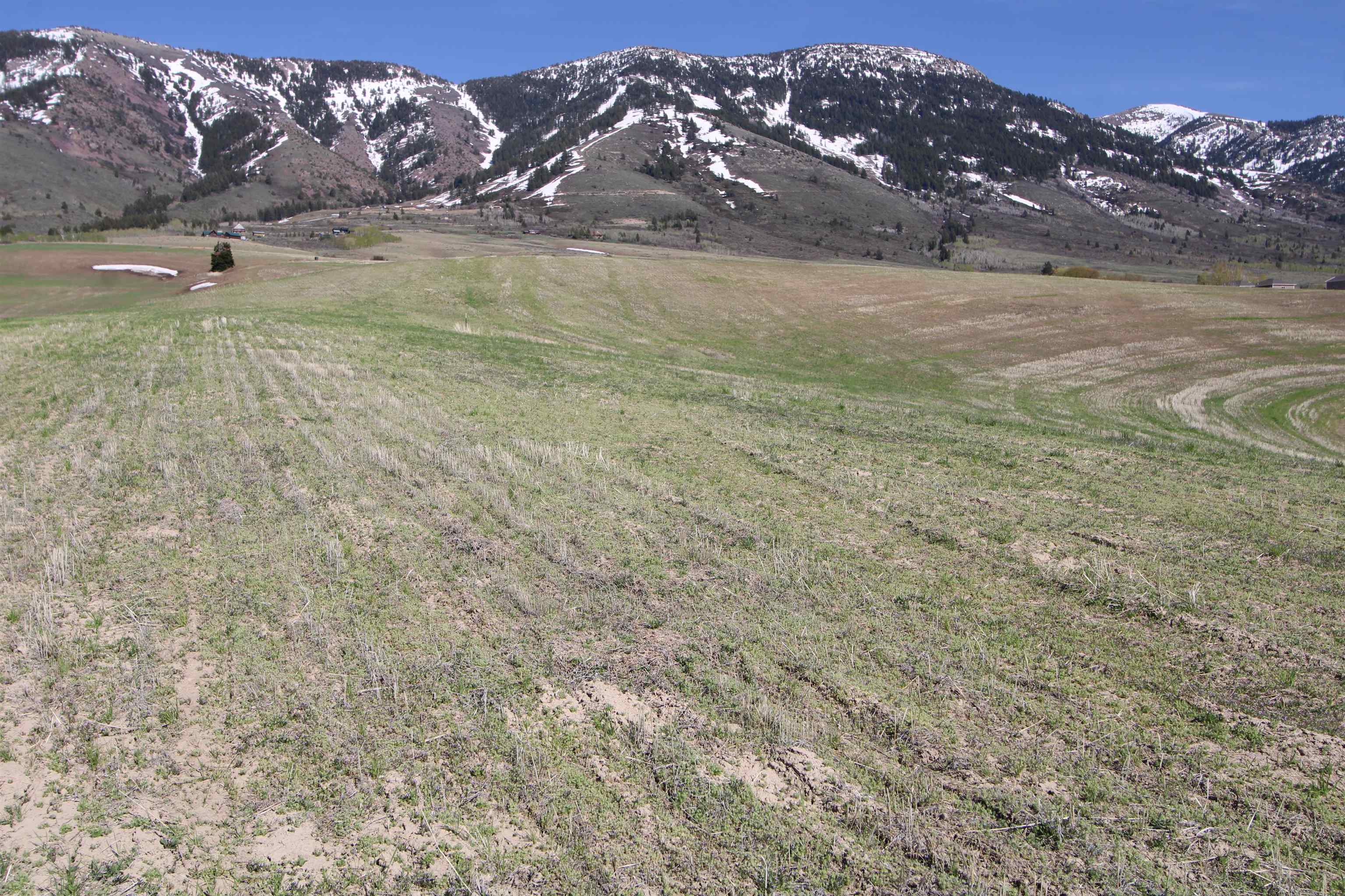 000 Eagle Point, Inkom, Idaho image 5