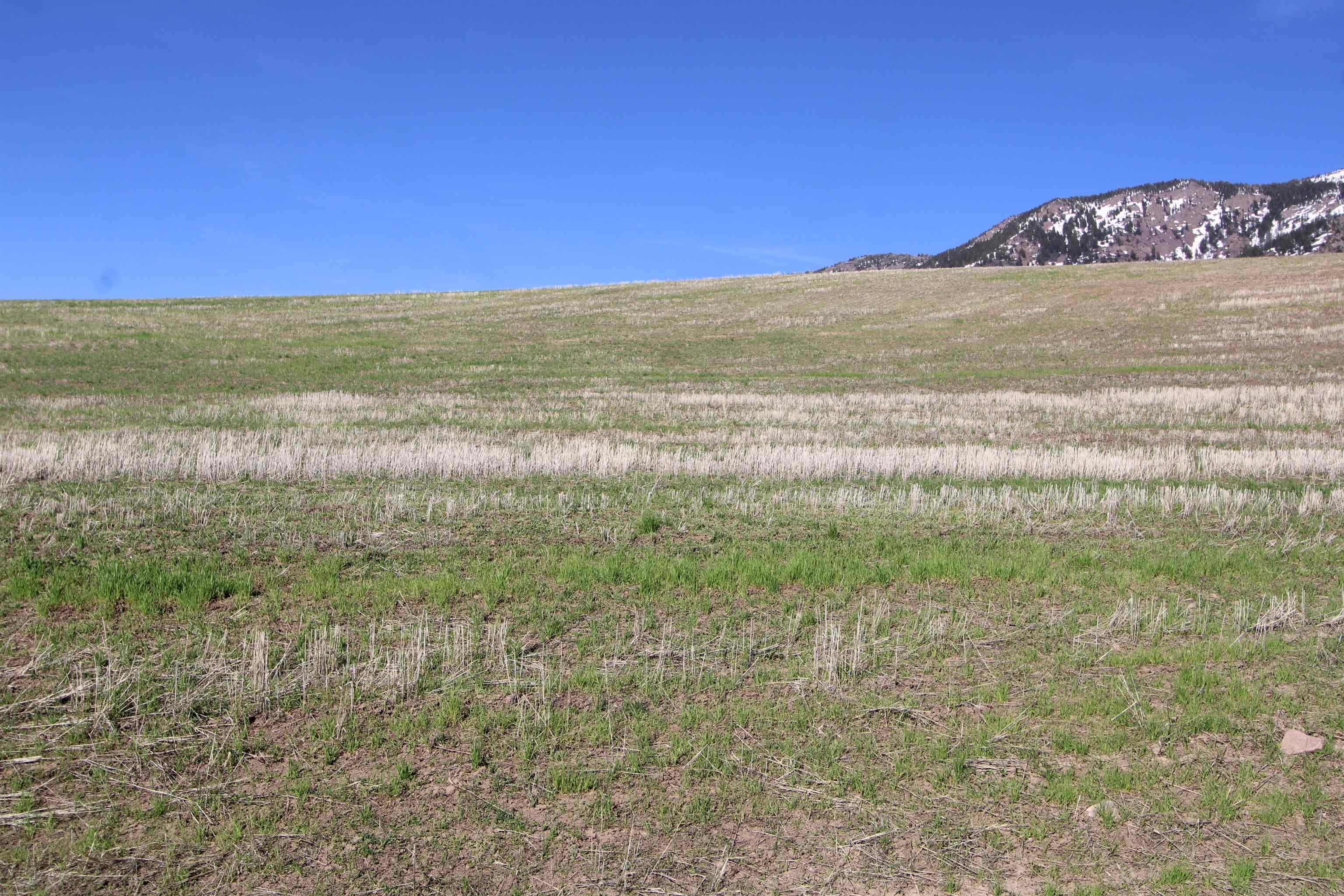000 Eagle Point, Inkom, Idaho image 25