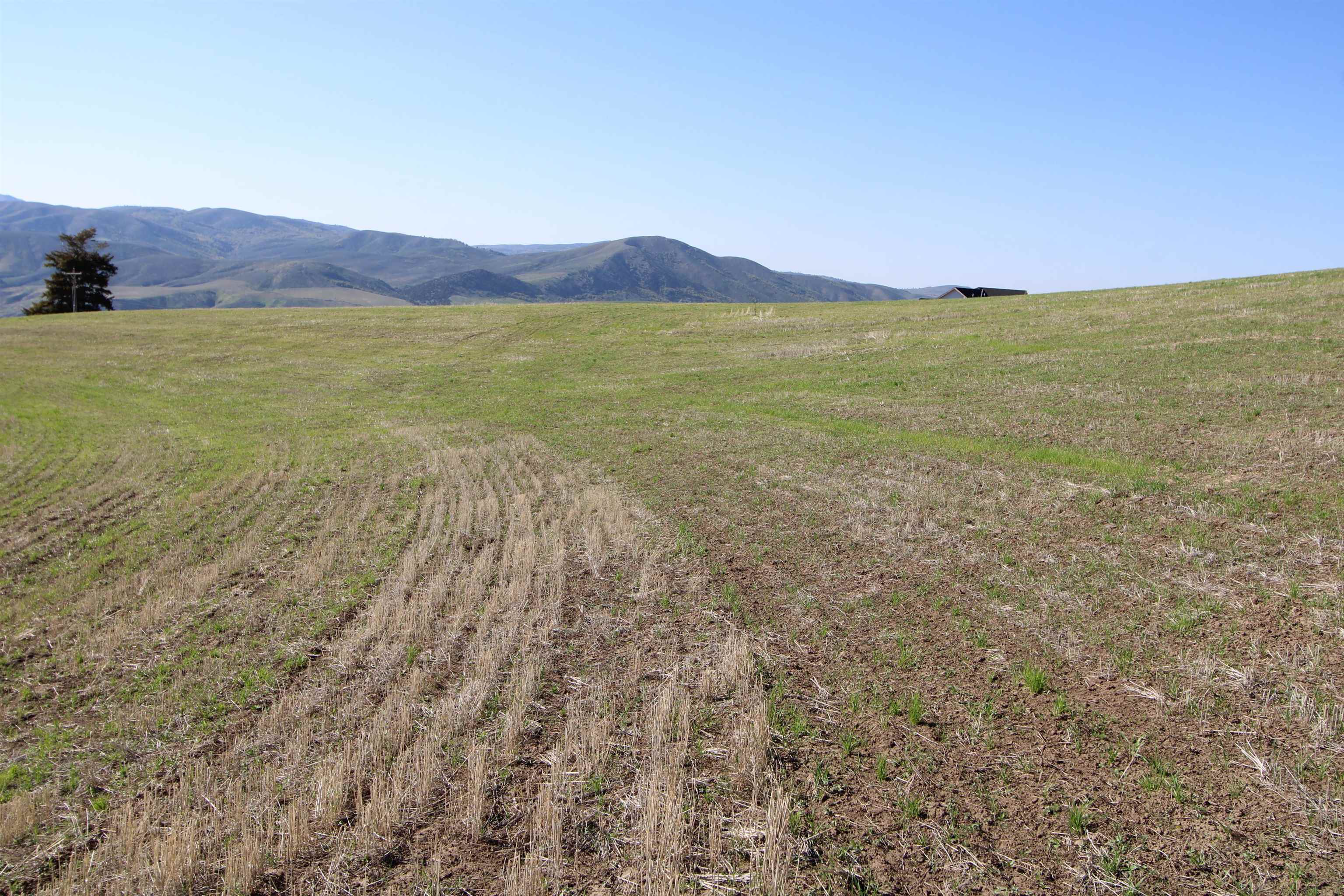 000 Eagle Point, Inkom, Idaho image 24