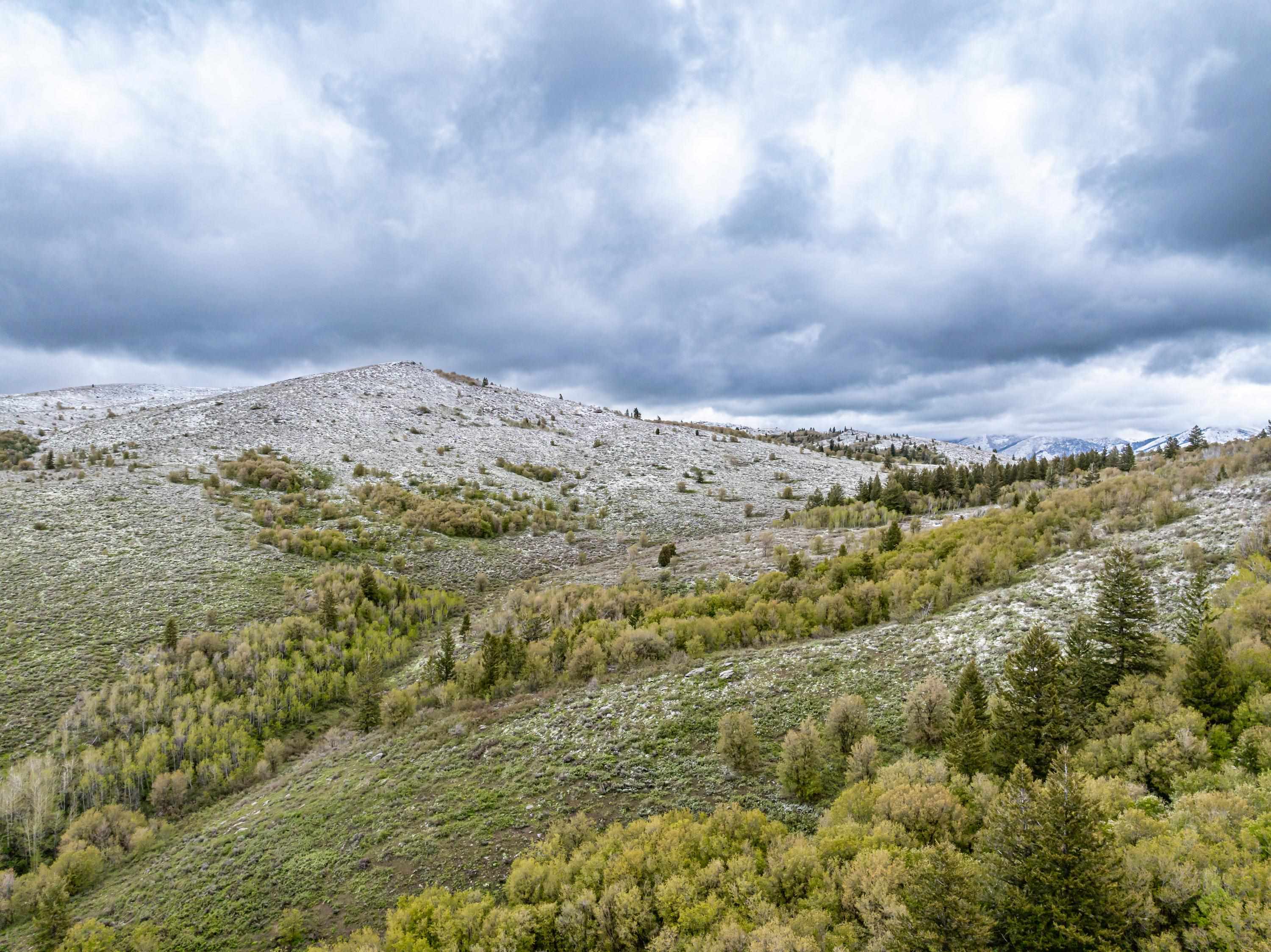 TBD NYD Buskin Rd. (119.4 Ac), Pocatello, Idaho image 6