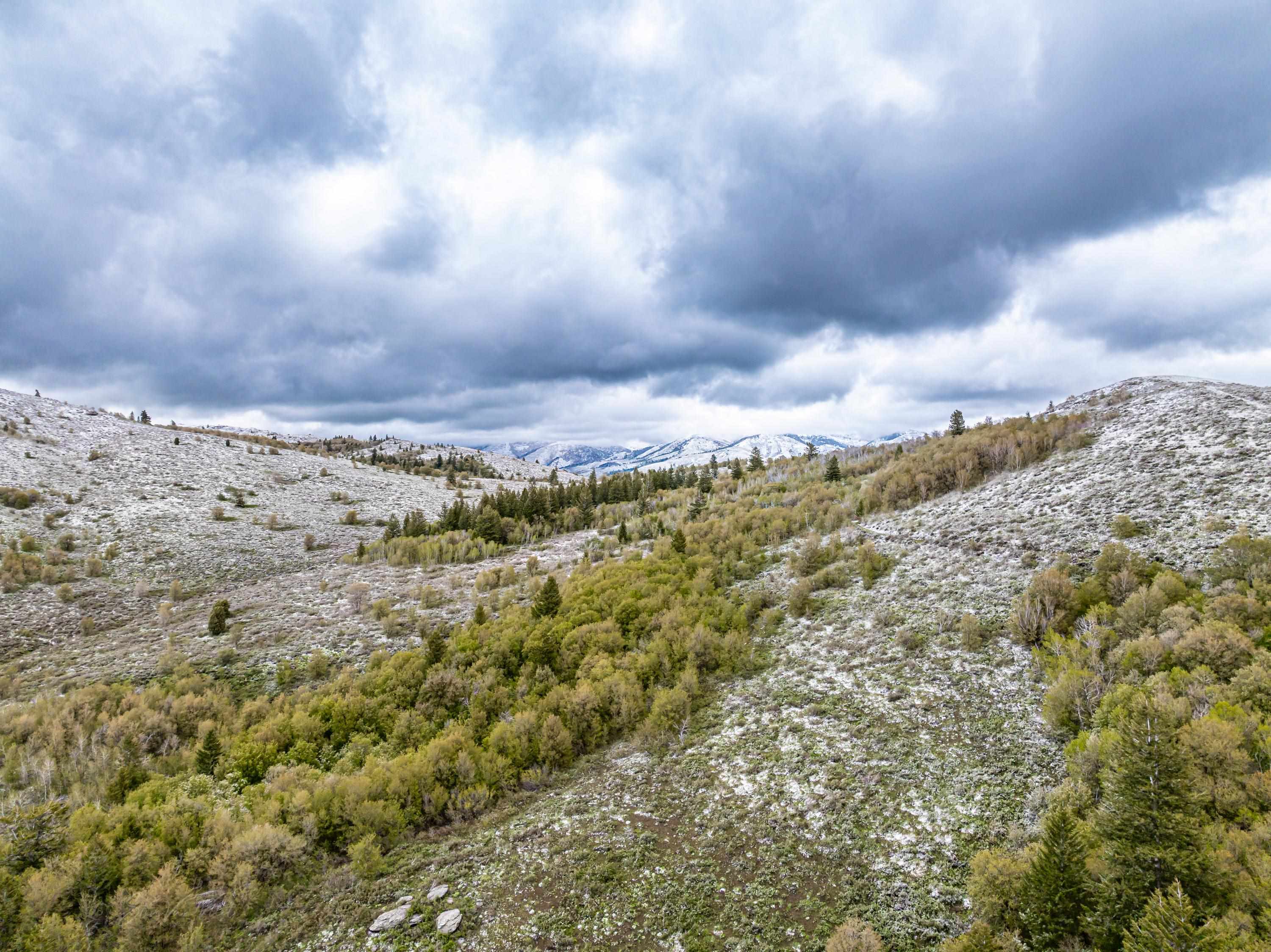 TBD NYD Buskin Rd. (119.4 Ac), Pocatello, Idaho image 8