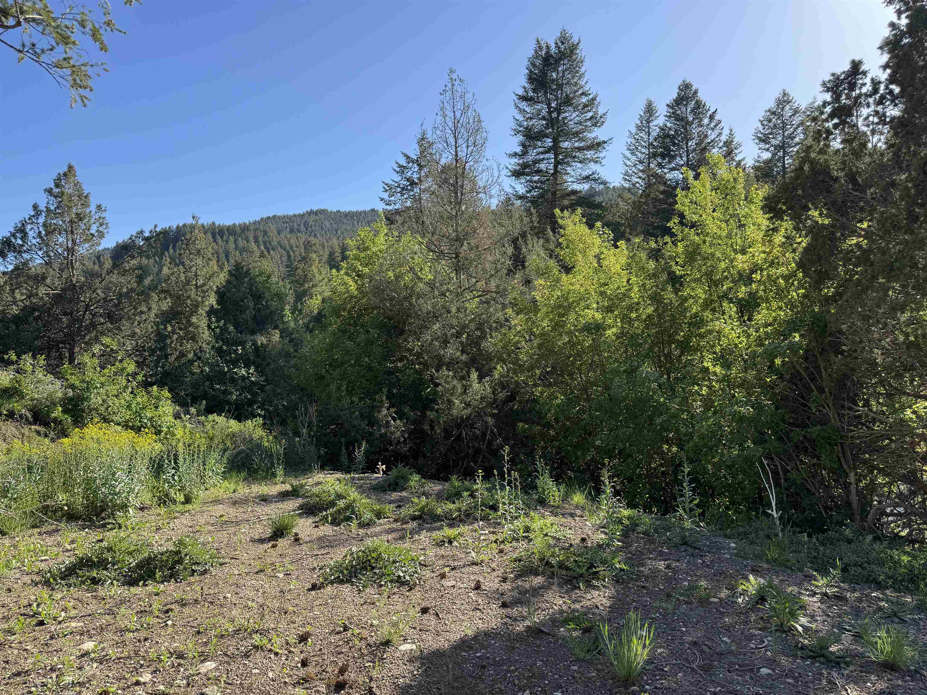 TBD S Raccoon, Lava Hot Springs, Idaho image 10