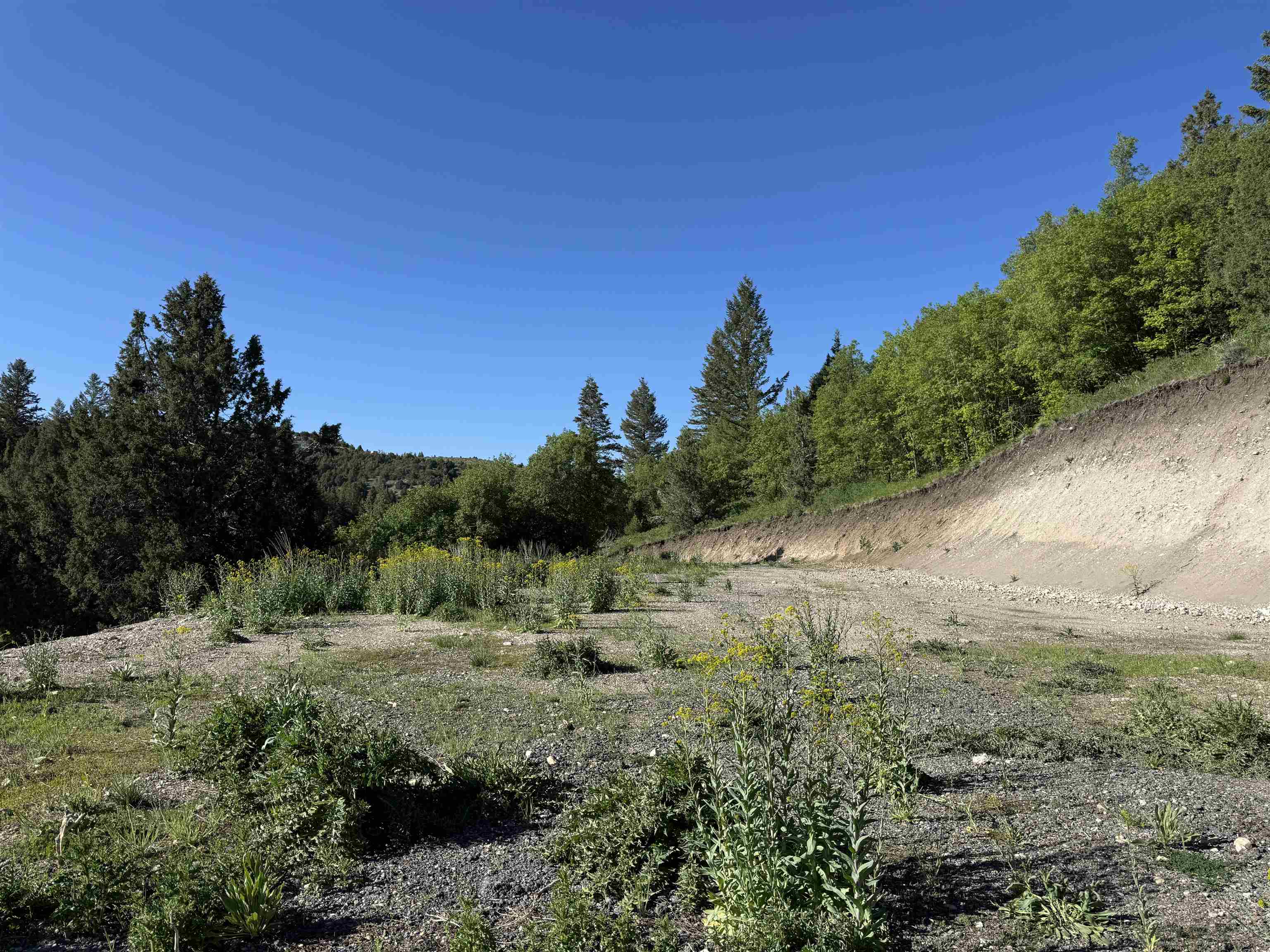 TBD S Raccoon, Lava Hot Springs, Idaho image 16