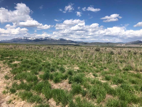 Vacant Land For Sale - TBD LOT 4 Jenkins Rd #MARLEY ACRES SUBDIVISION<br/> Bannock County, Arimo, ID 83214