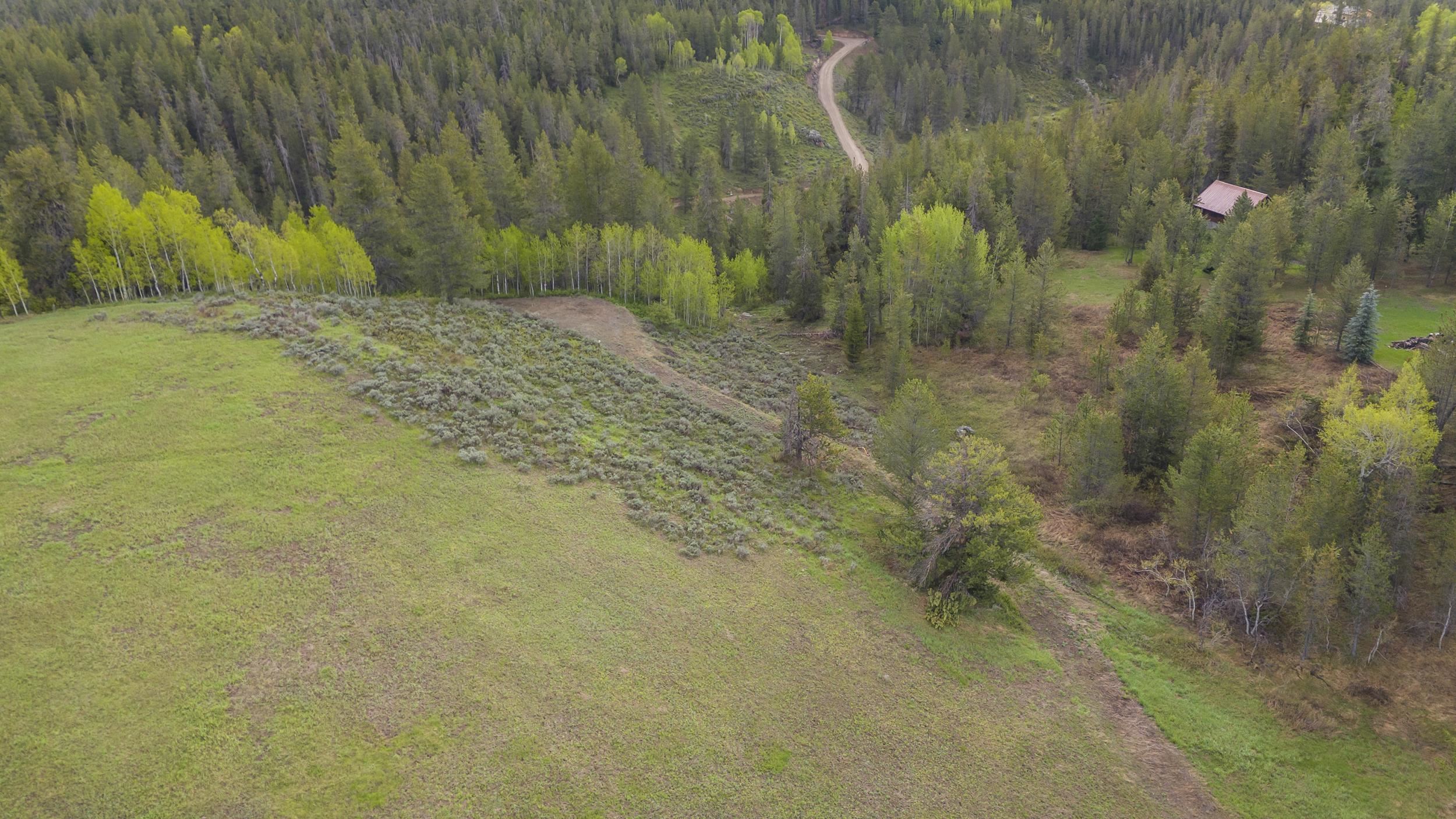 1530 Potpourri Dive Dr, Ashton, Idaho image 6