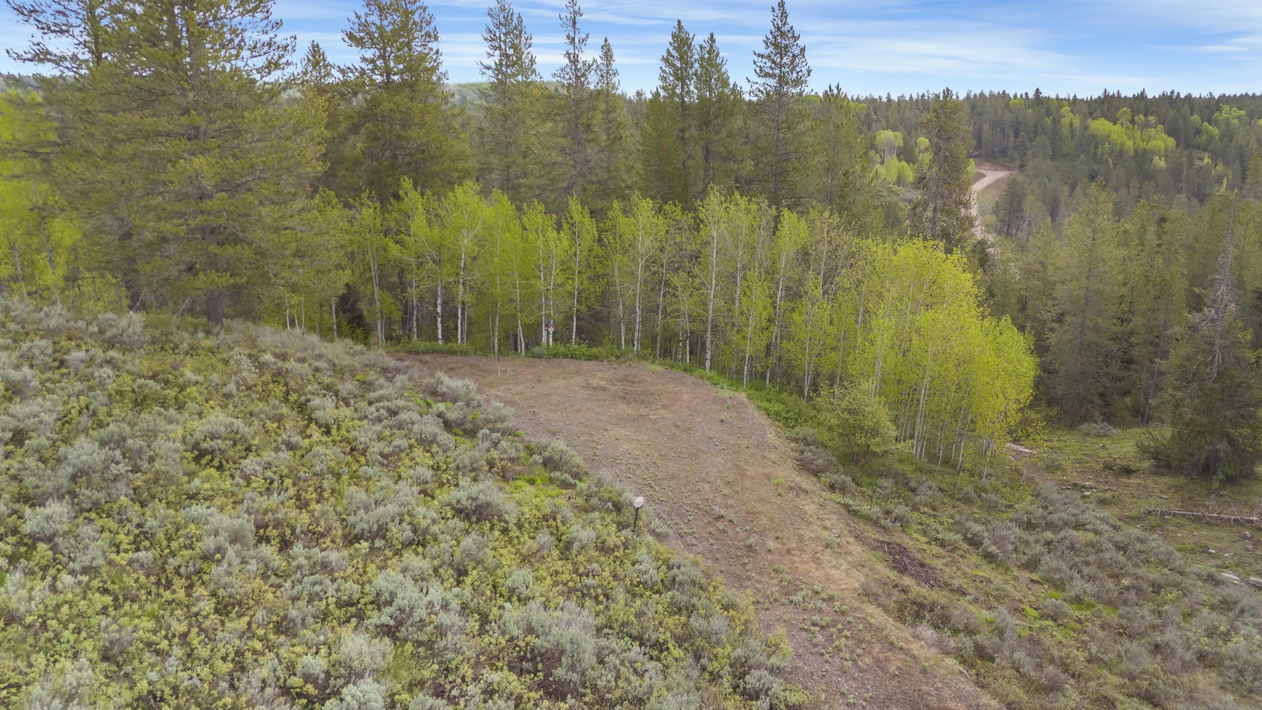 1530 Potpourri Dive Dr, Ashton, Idaho image 15