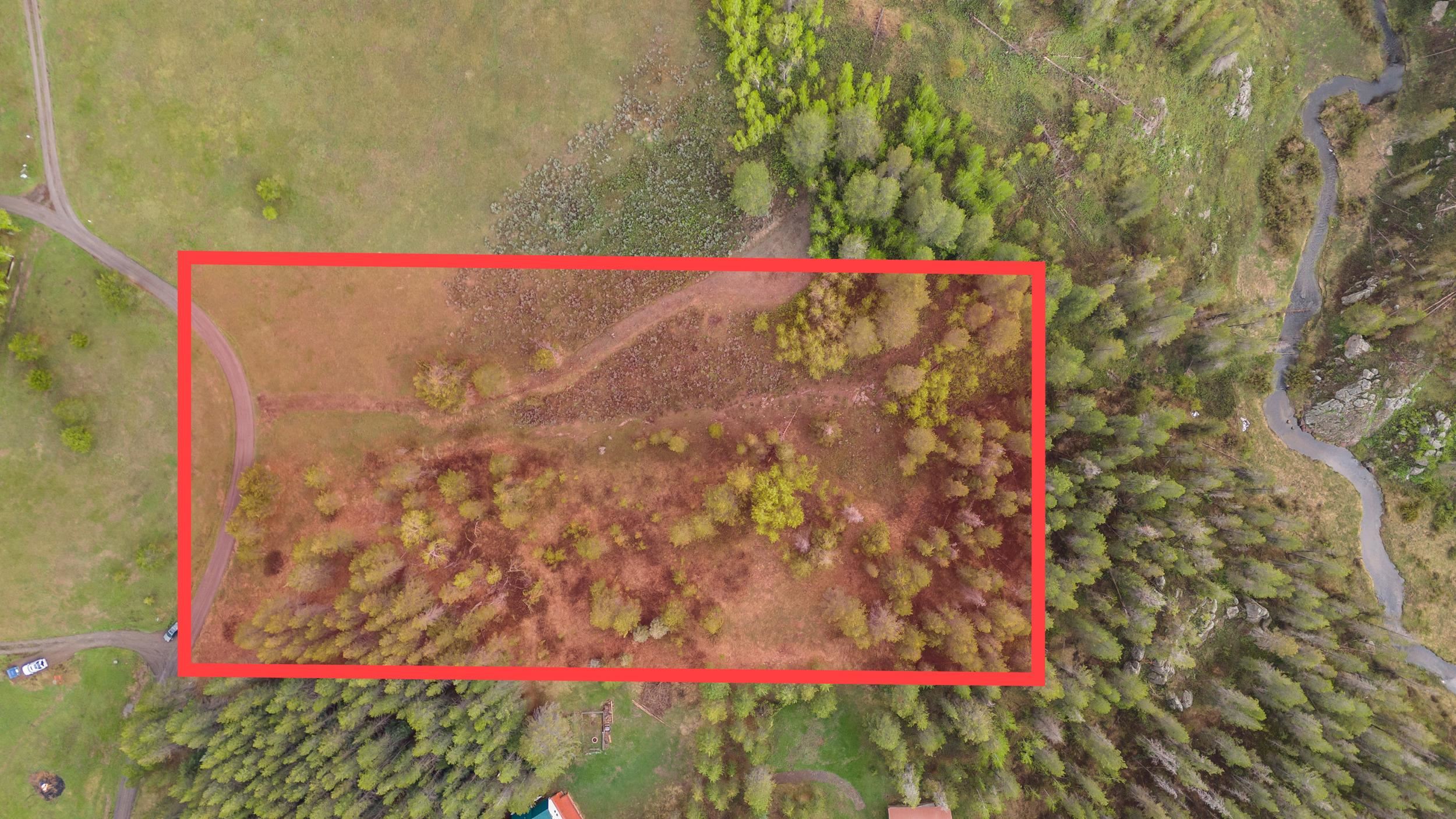 1530 Potpourri Dive Dr, Ashton, Idaho image 4
