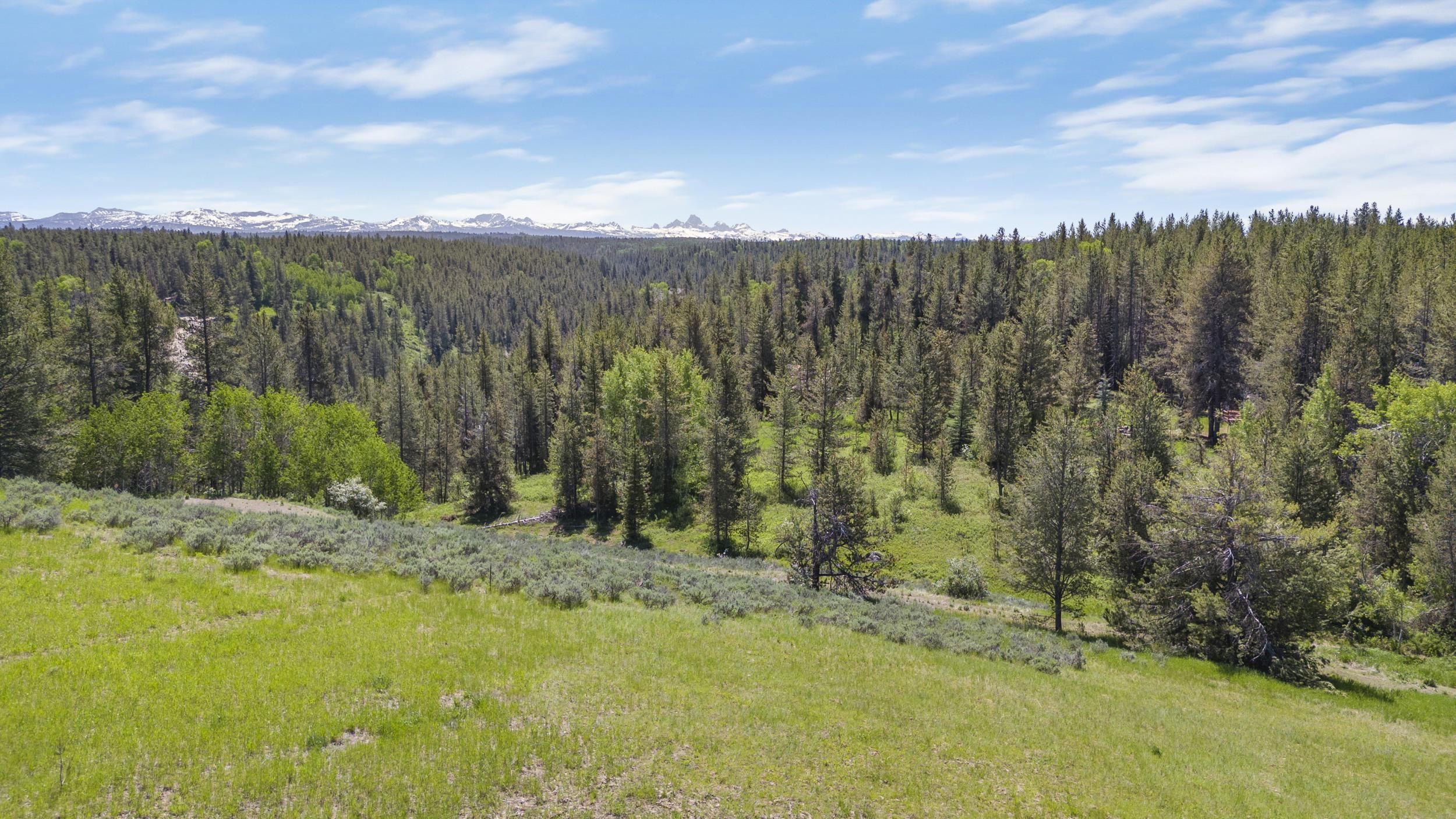1530 Potpourri Dive Dr, Ashton, Idaho image 3