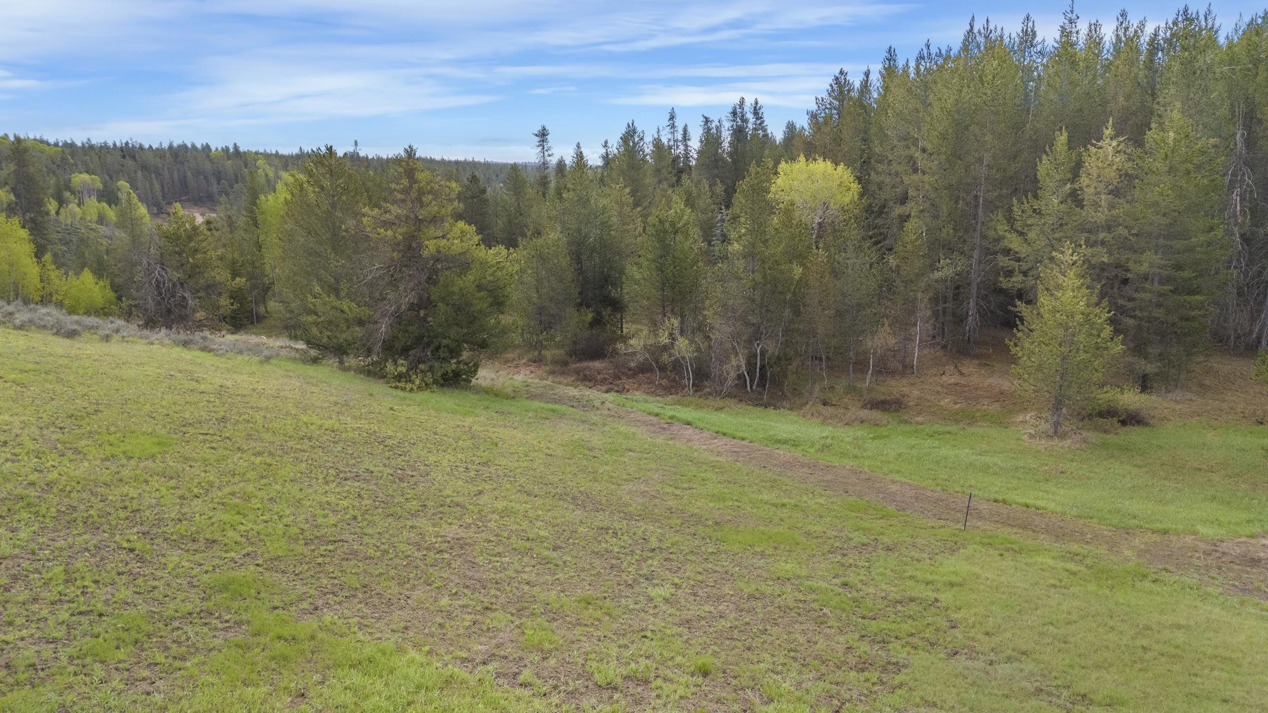 1530 Potpourri Dive Dr, Ashton, Idaho image 9