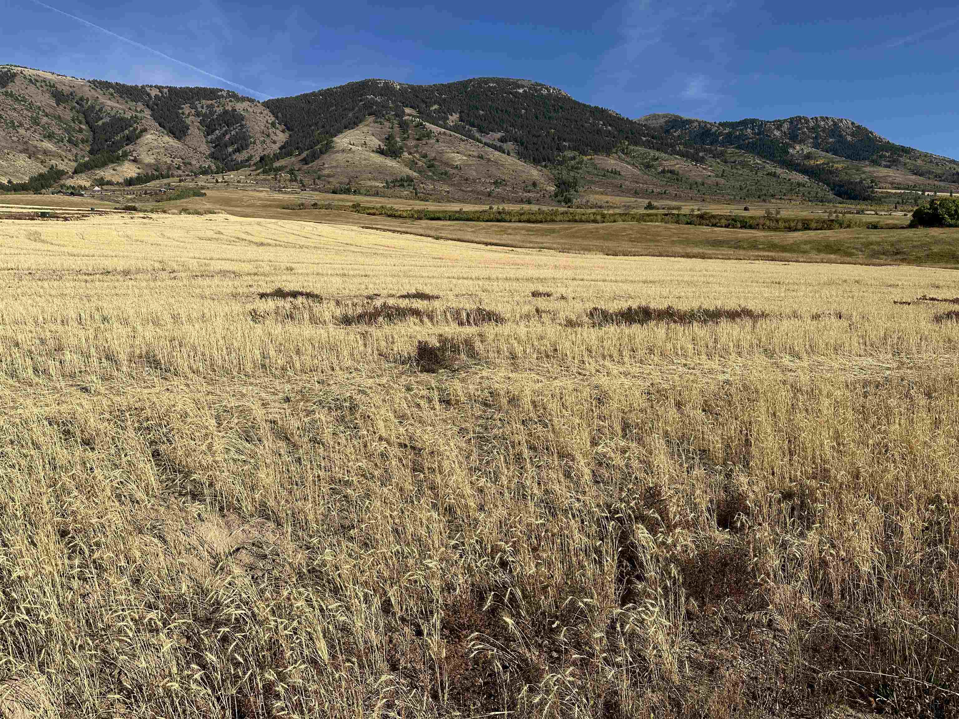 LOT 28 Eagle View Drive, Inkom, Idaho image 3