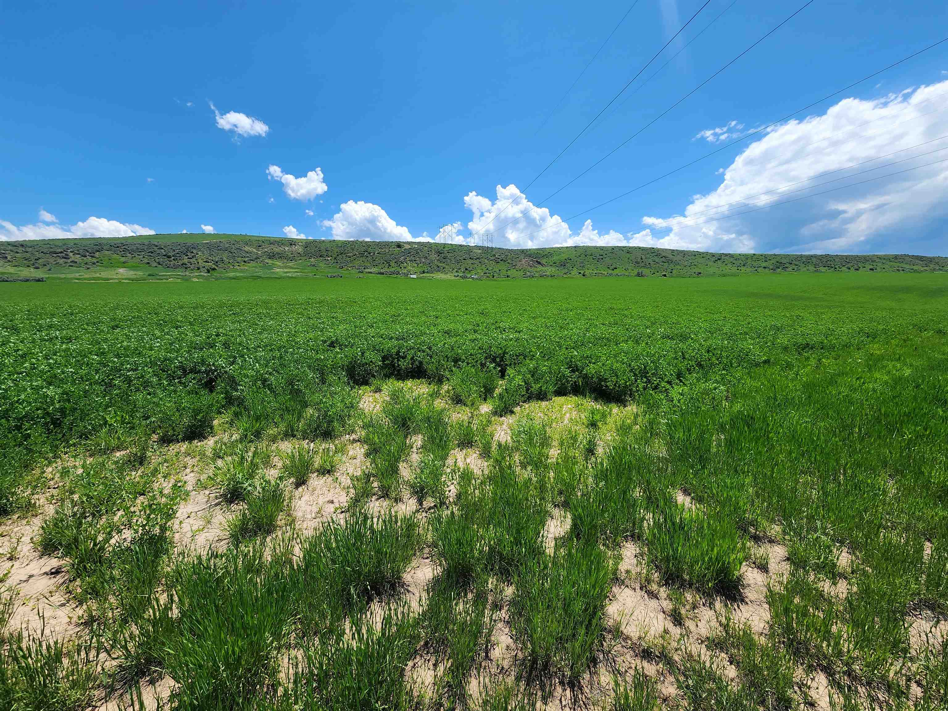 6600 N Hwy 34 Lot 3, Preston, Idaho image 6