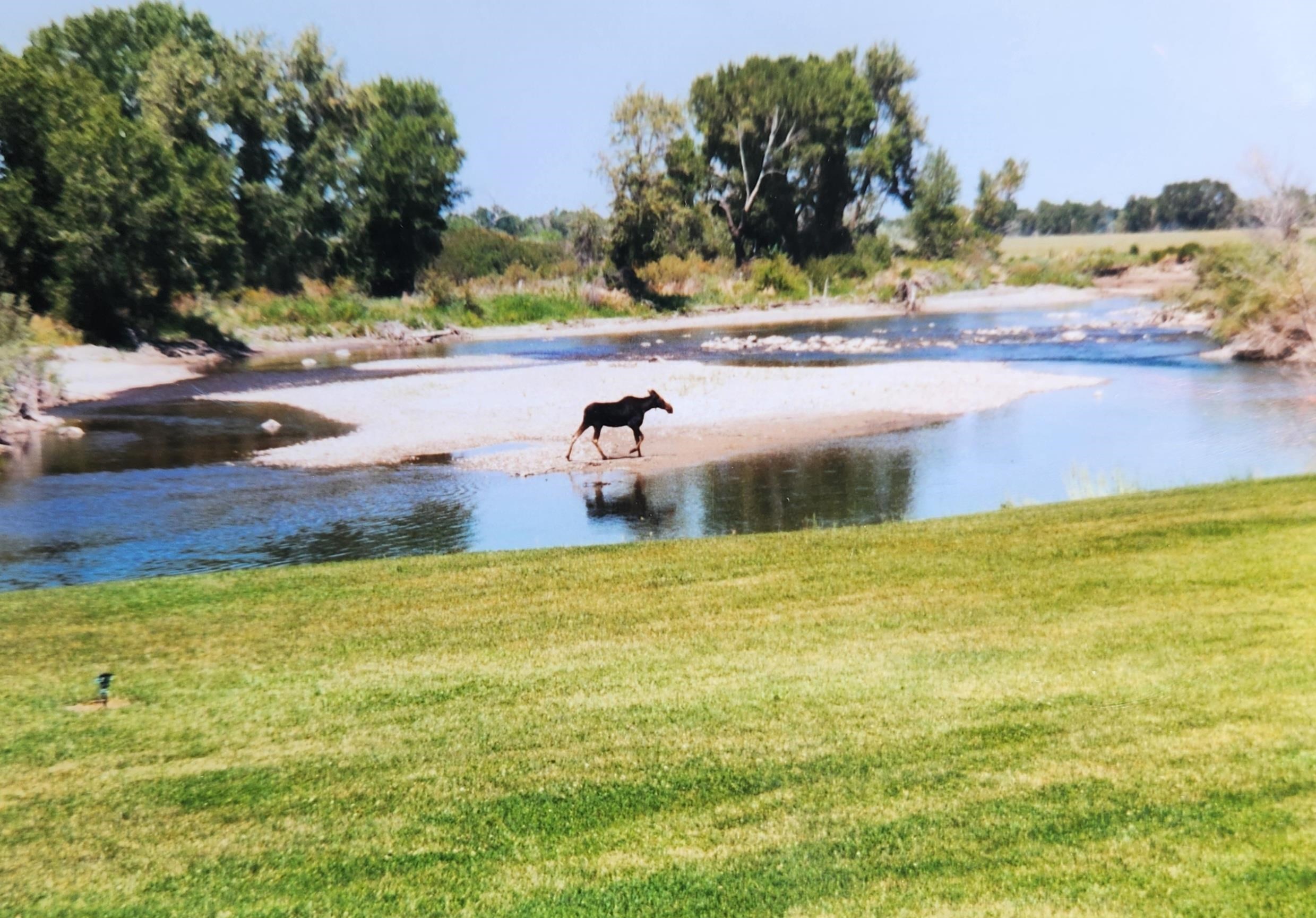 108 W 210 N, Blackfoot, Idaho image 5