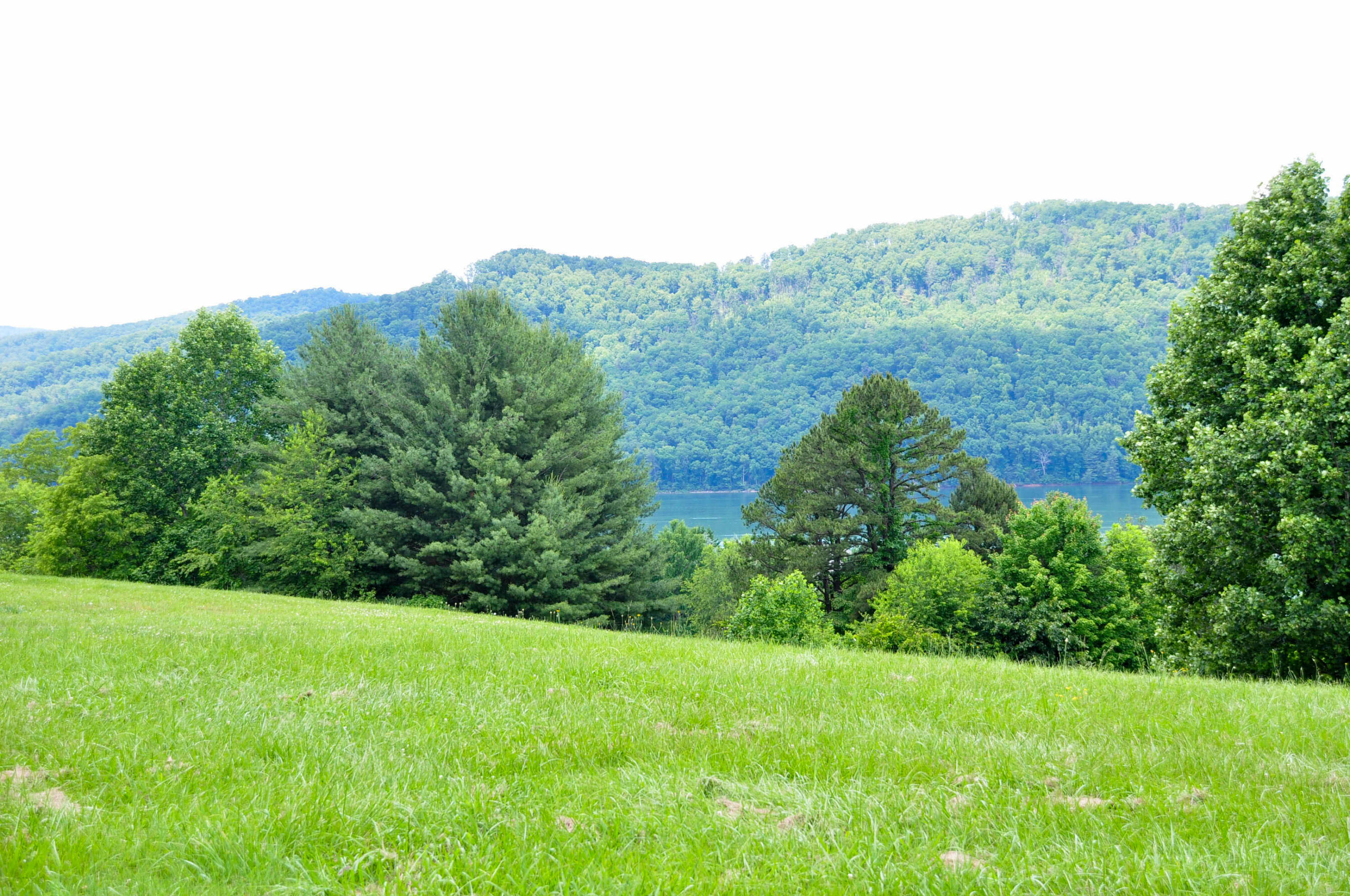 Lot 29 Harbour View Road, Butler, Tennessee image 7
