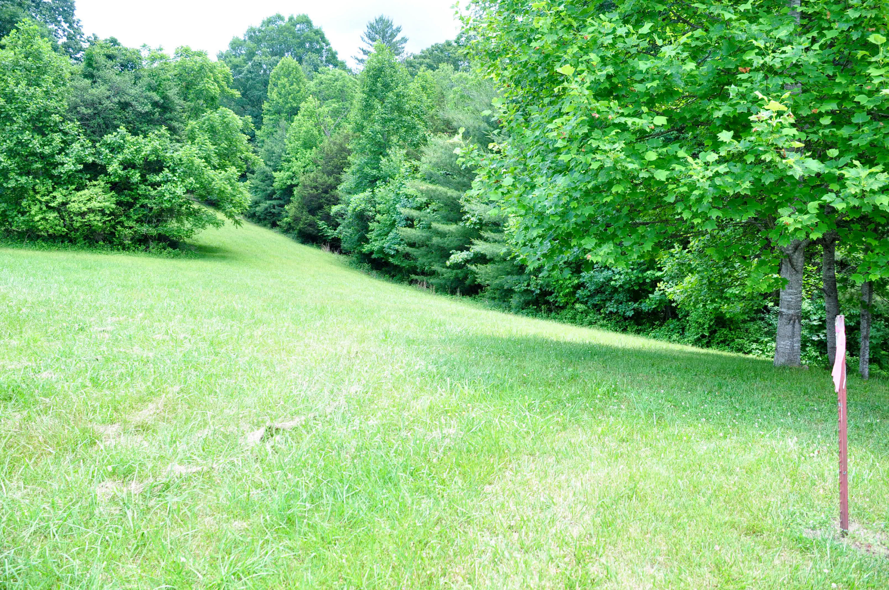 Lot 29 Harbour View Road, Butler, Tennessee image 4