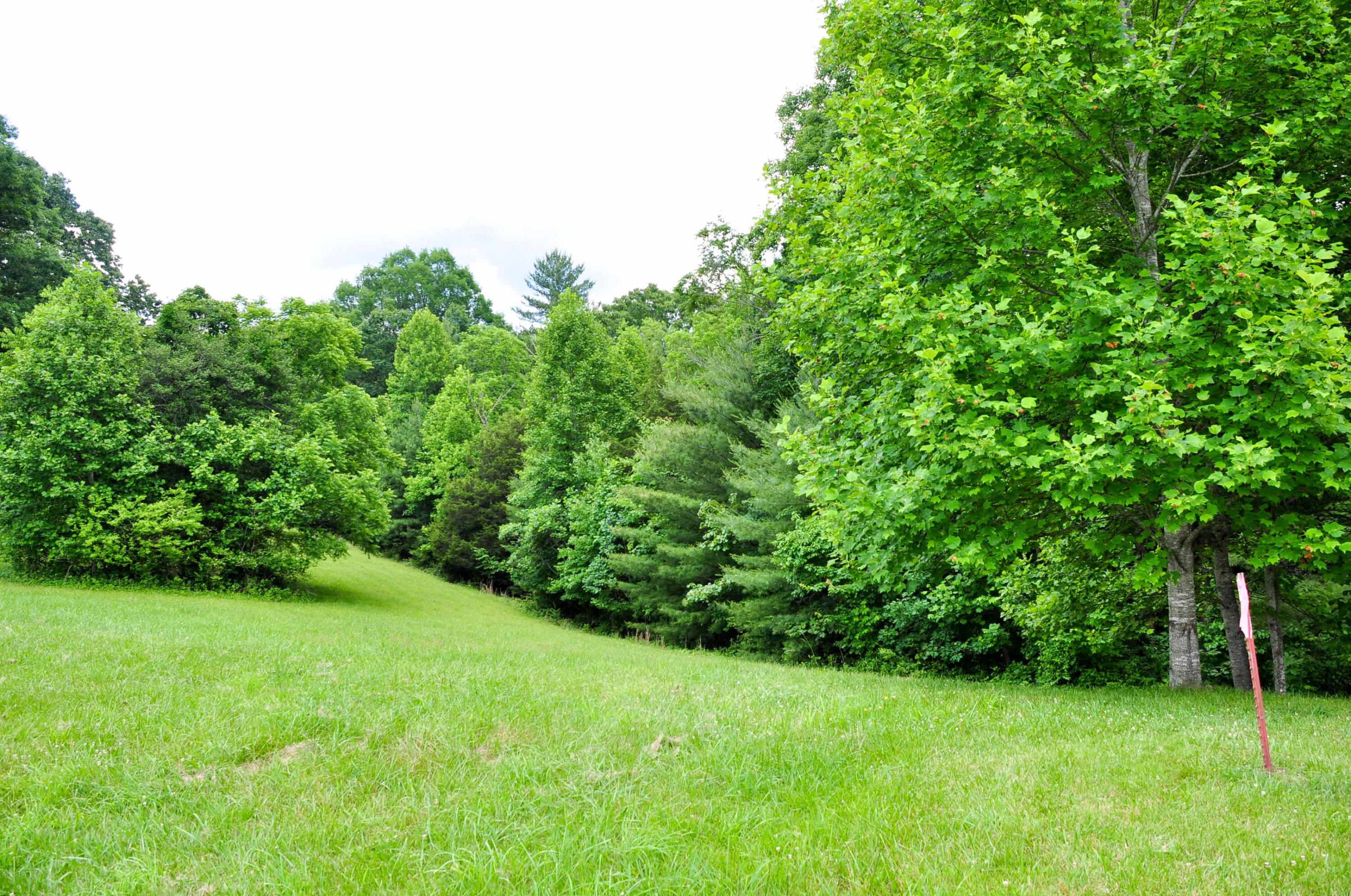 Lot 29 Harbour View Road, Butler, Tennessee image 9