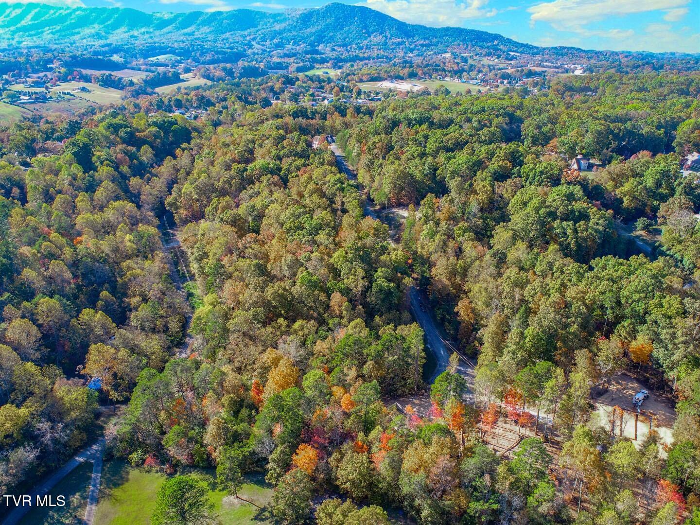 1409&1405 Timber Trail, Newport, Tennessee image 4