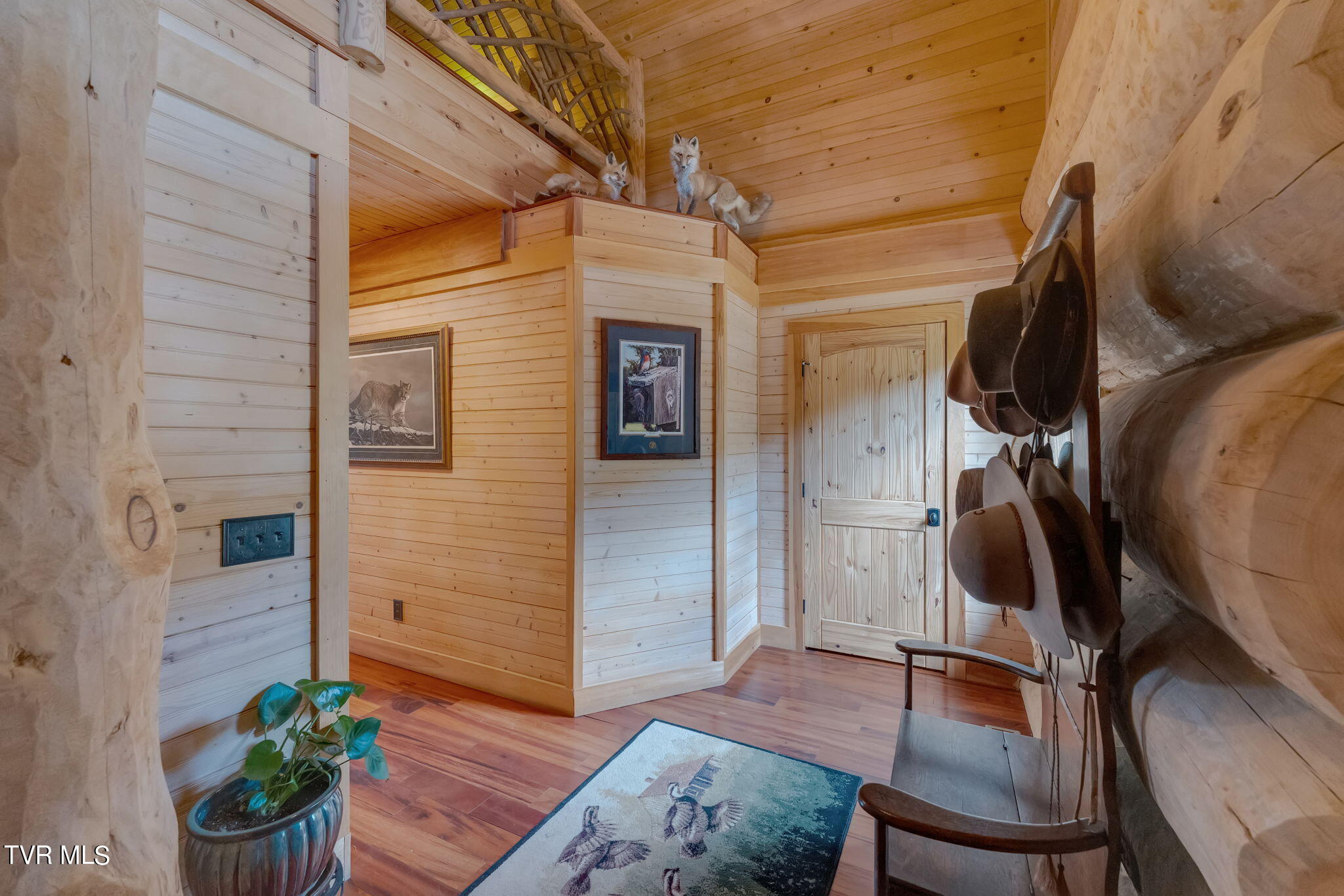 2835 Cross Mountain Road, Shady Valley, Tennessee image 17