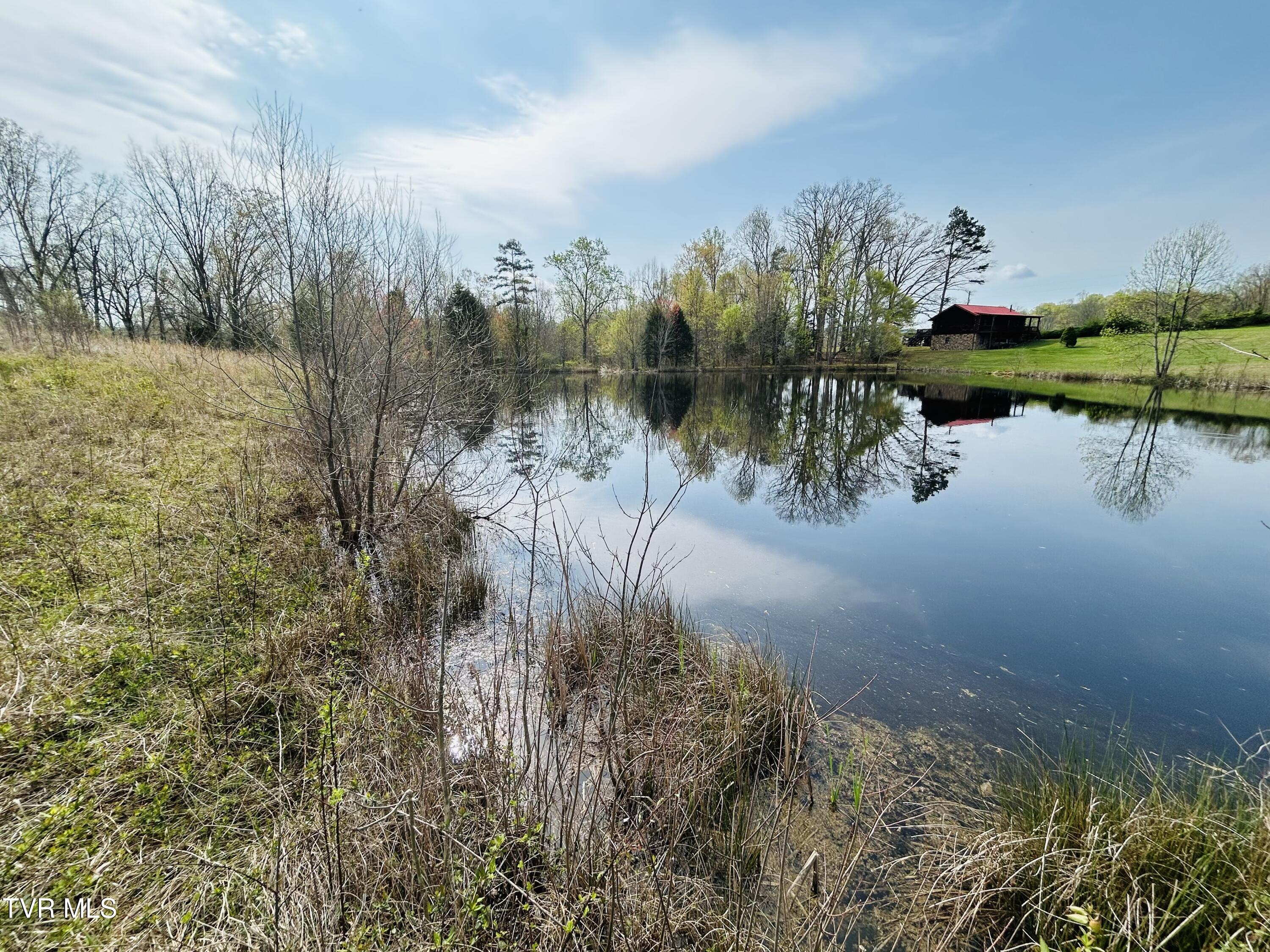 Tbd Williams Road, Surgoinsville, Tennessee image 5