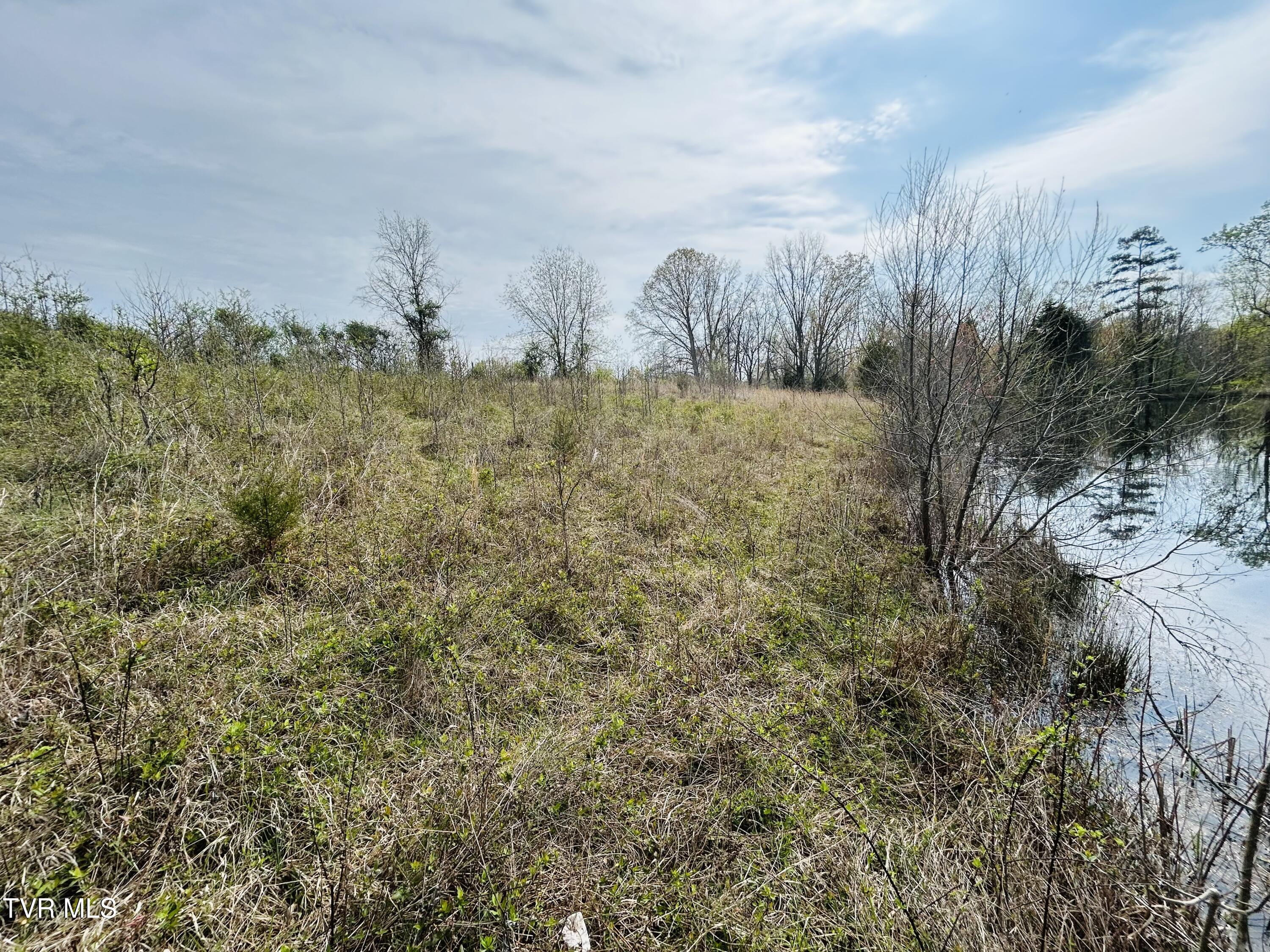 Tbd Williams Road, Surgoinsville, Tennessee image 6