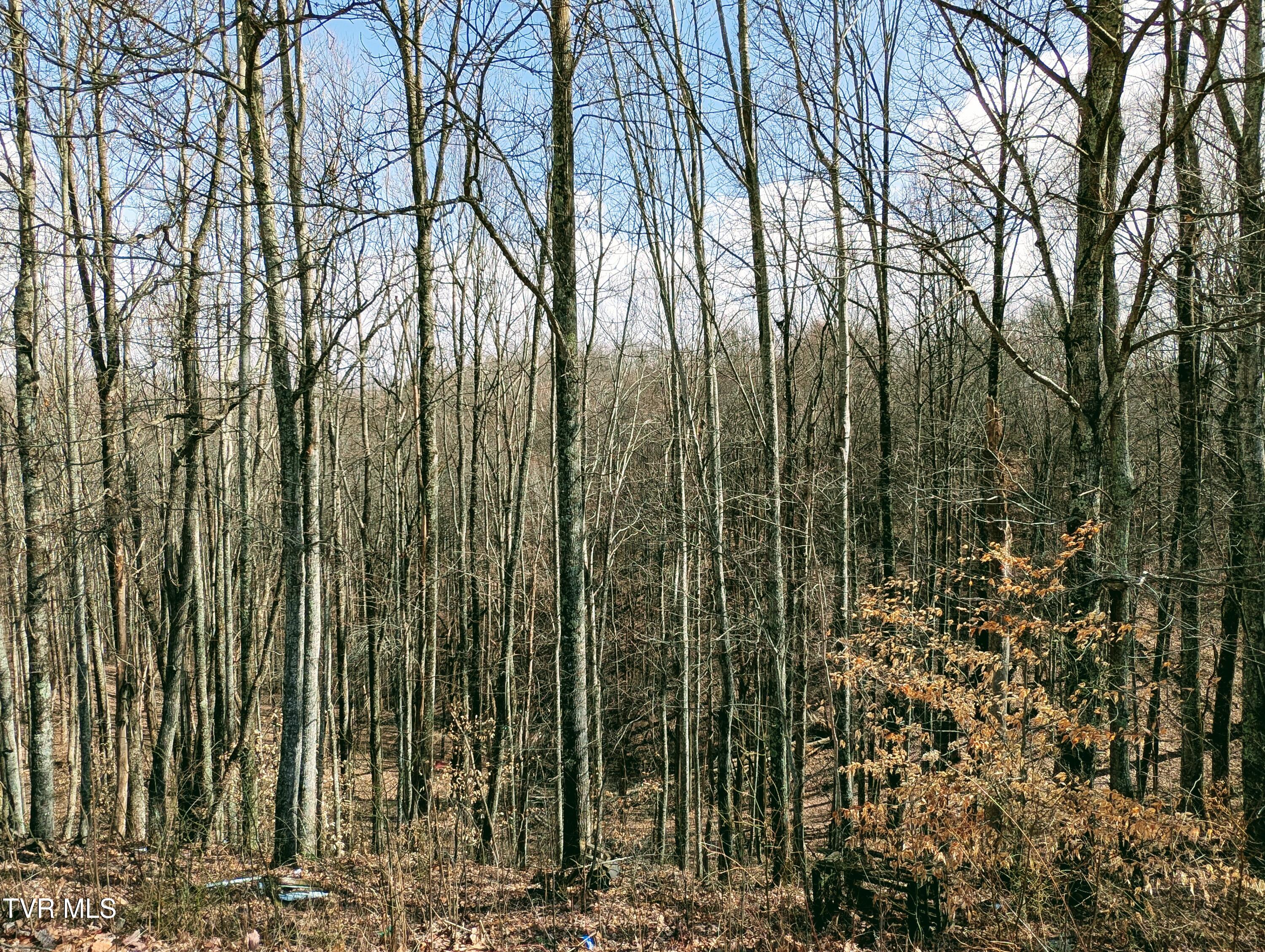 326 Flat Top Road, Coeburn, Virginia image 11